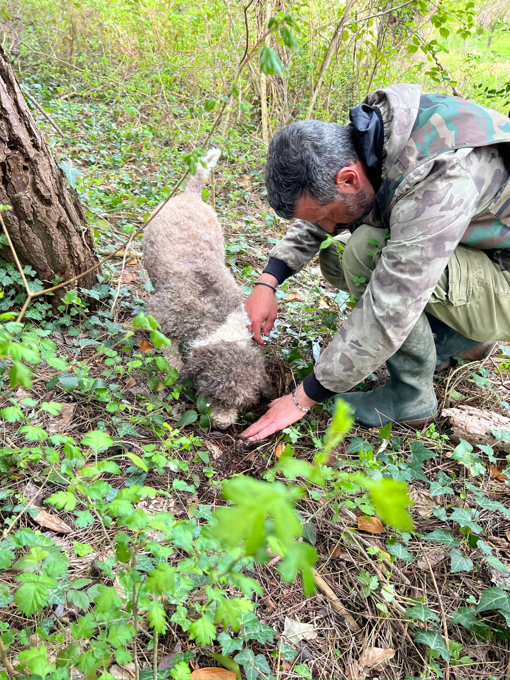 Siena Tartufi - Truffle Hunt