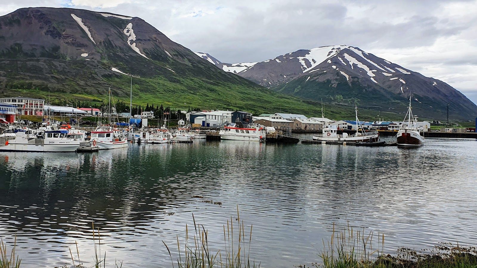 Dalvík