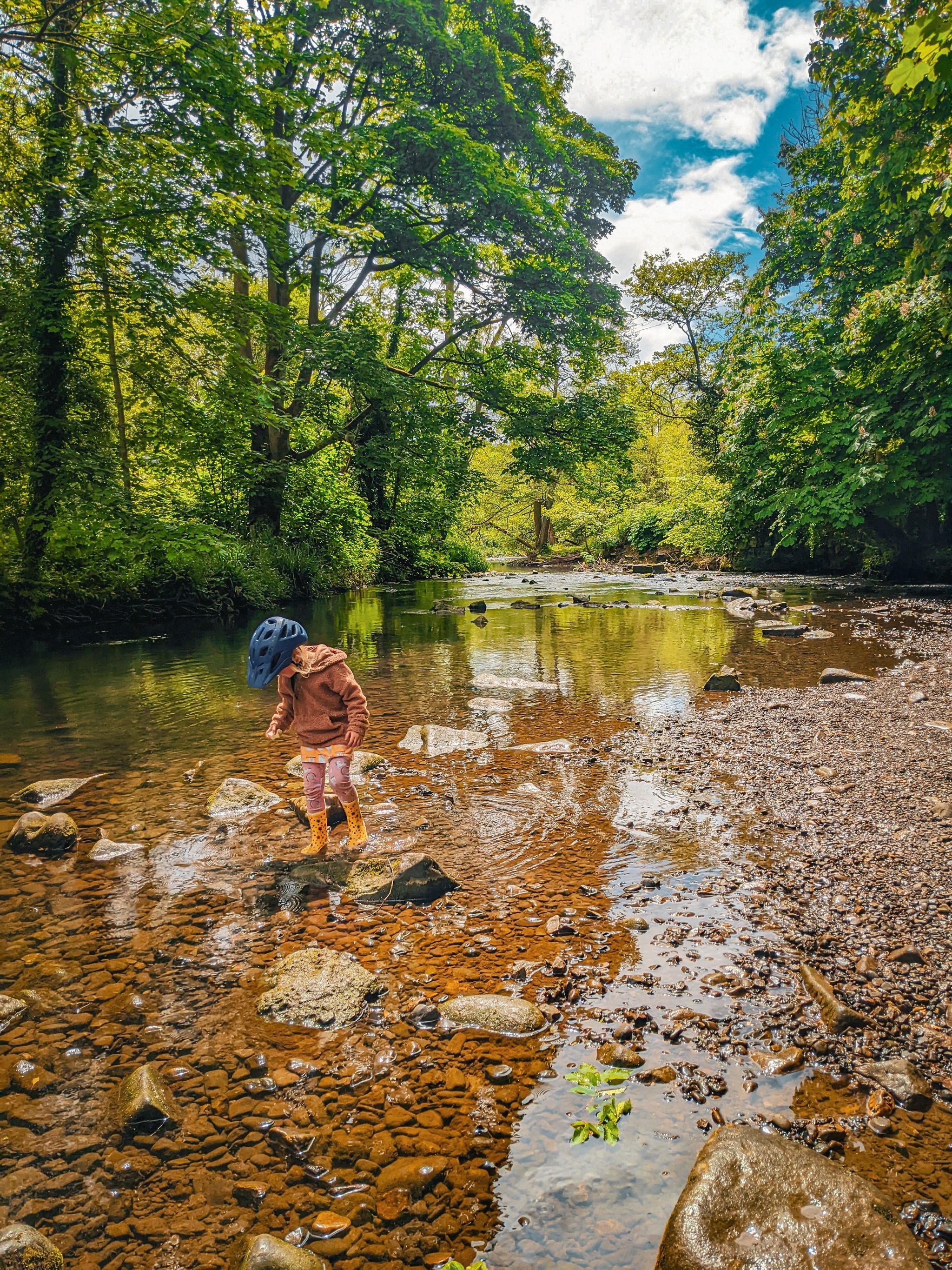 Alyn Waters Country Park
