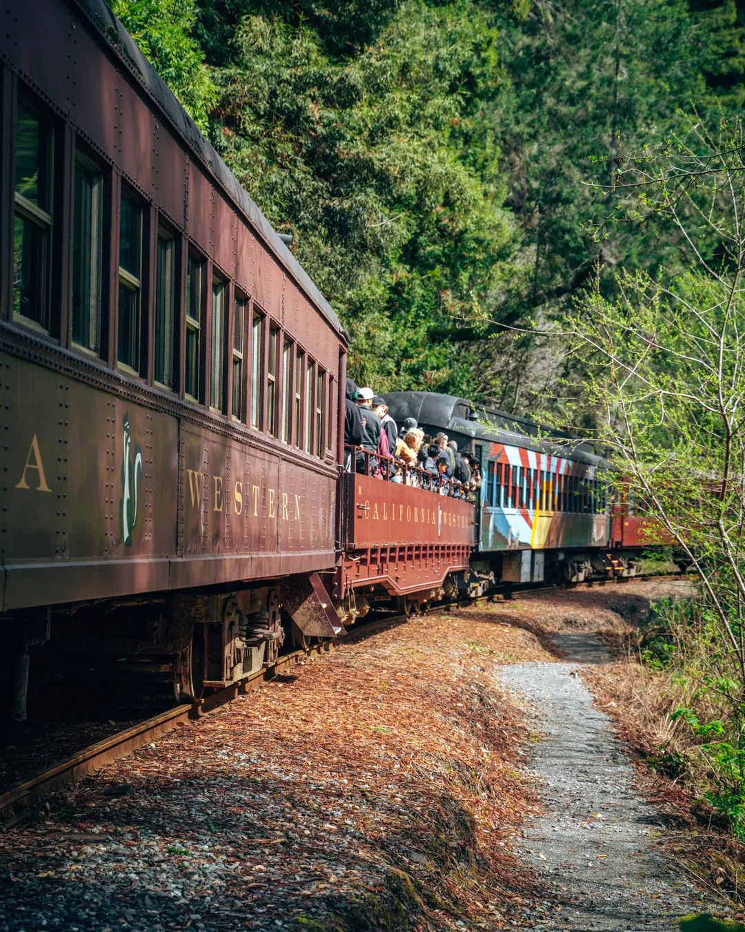 The Skunk Train & Rail Bikes from Fort Bragg