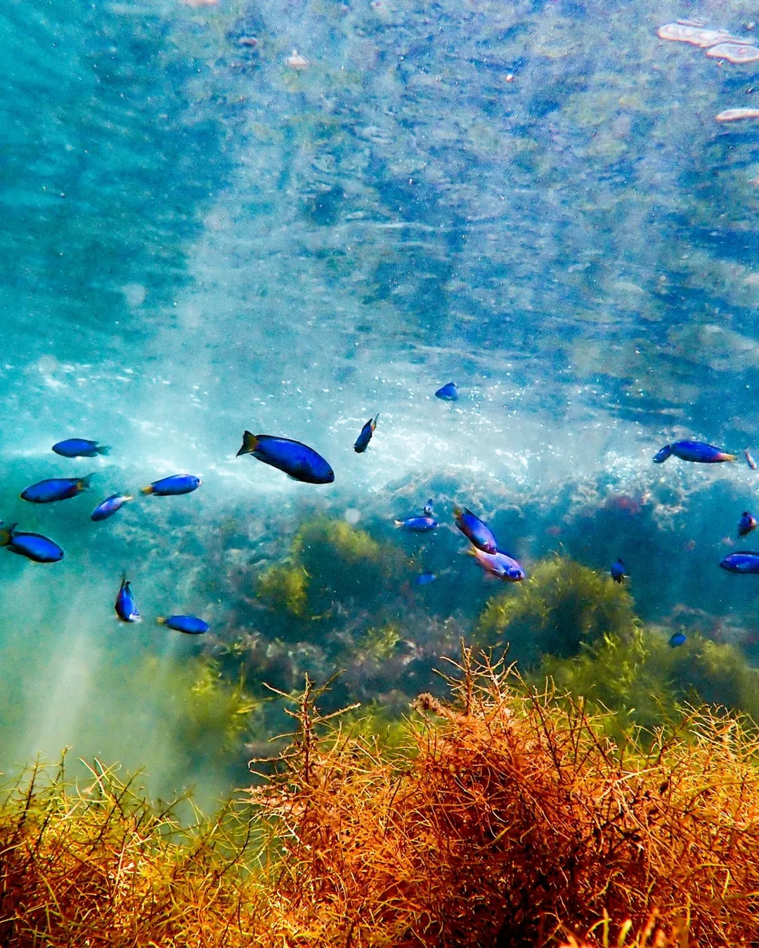 海 Hirizo Beach - Rural Travels, Japan - Rexby