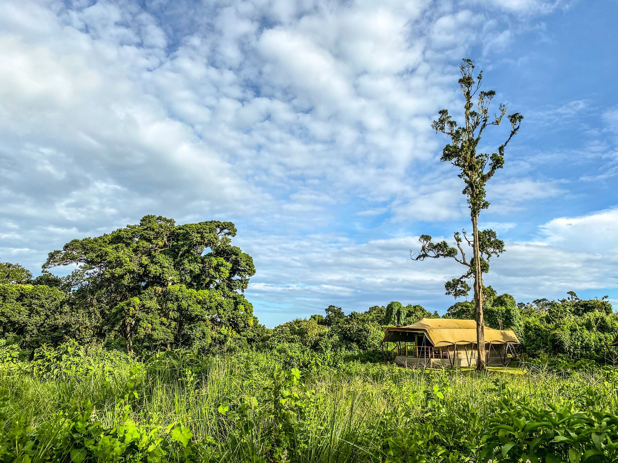 Ang'ata Ngorongoro Camp