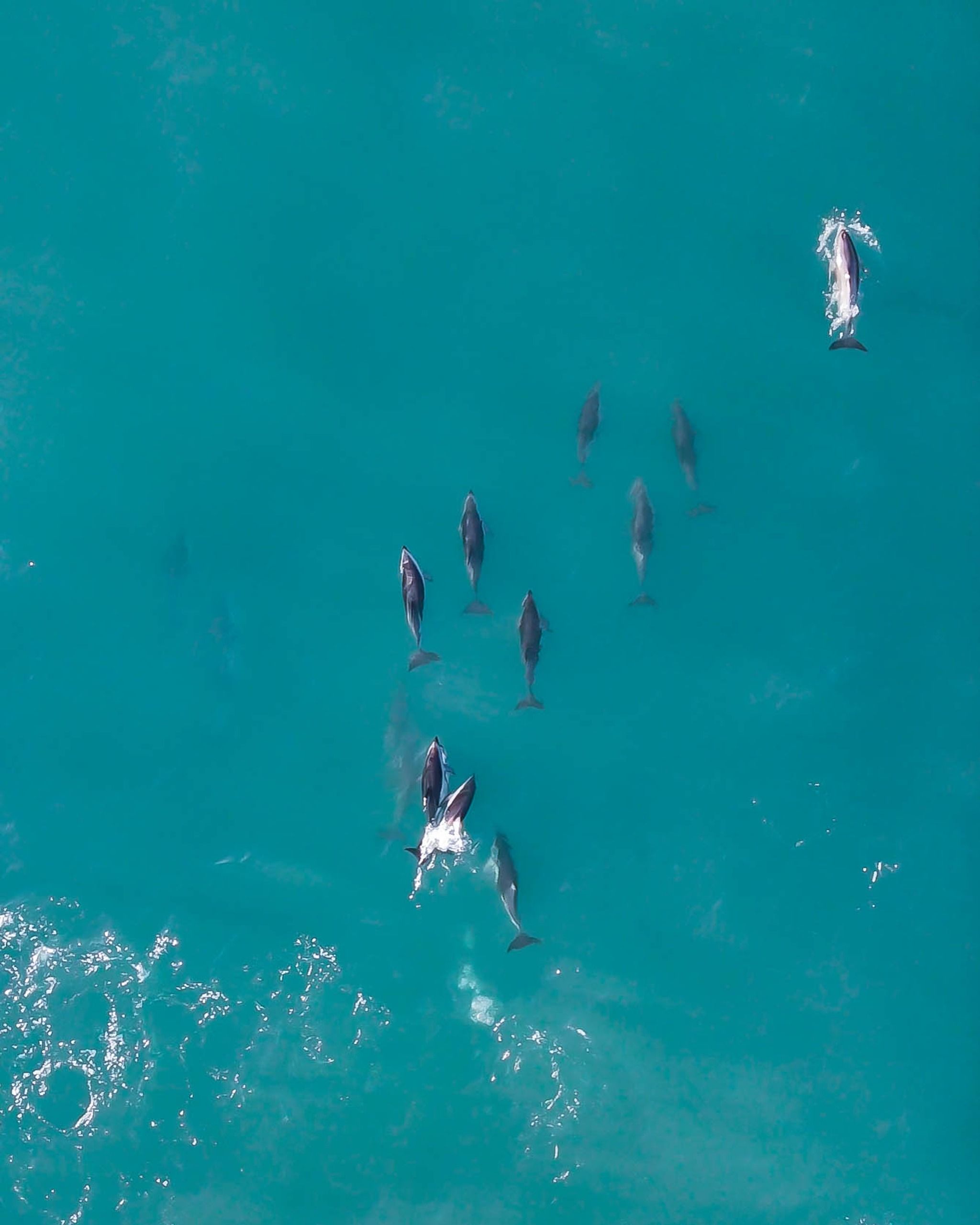 Kaikoura Peninsula Walkway