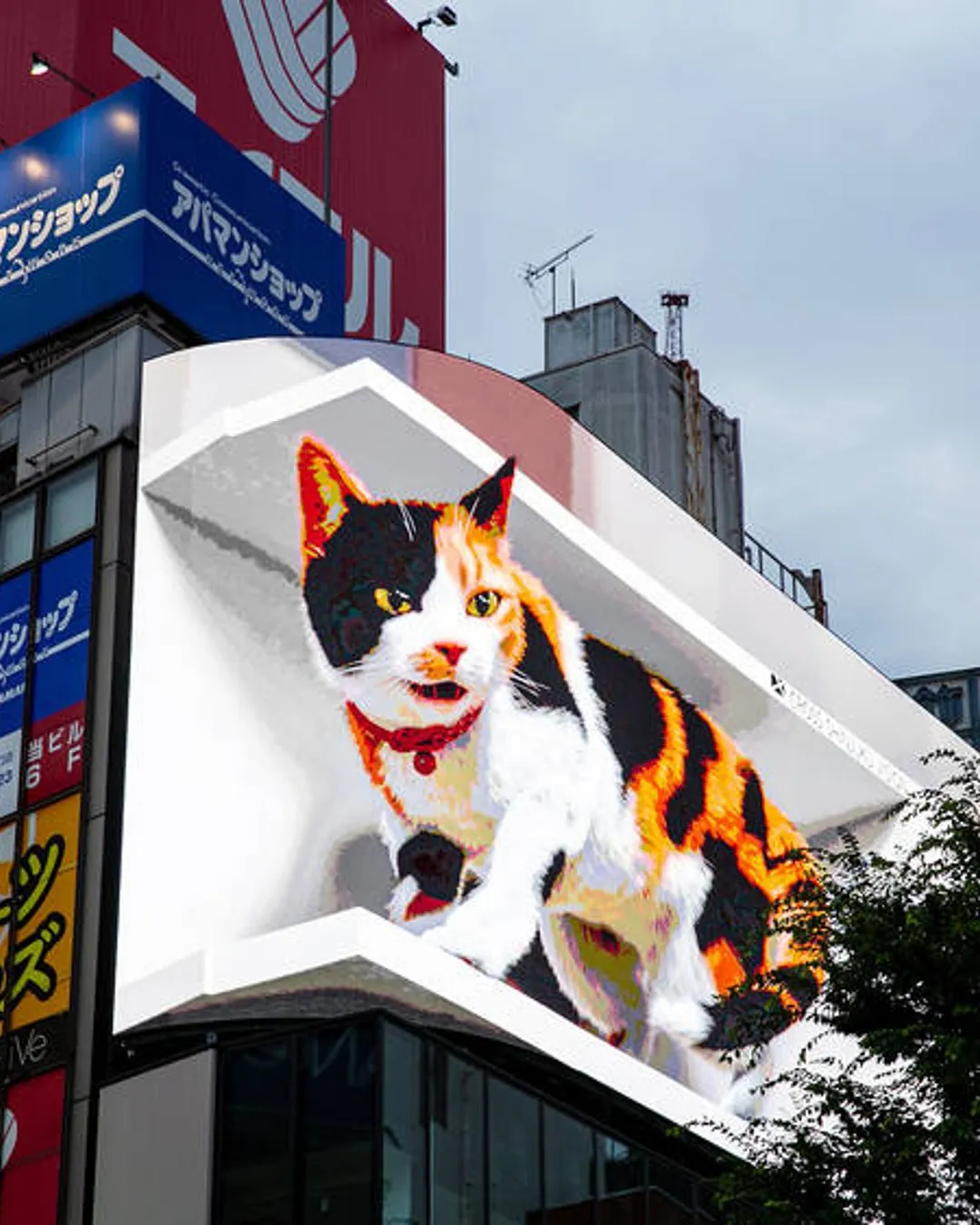 3d billboard shibuya