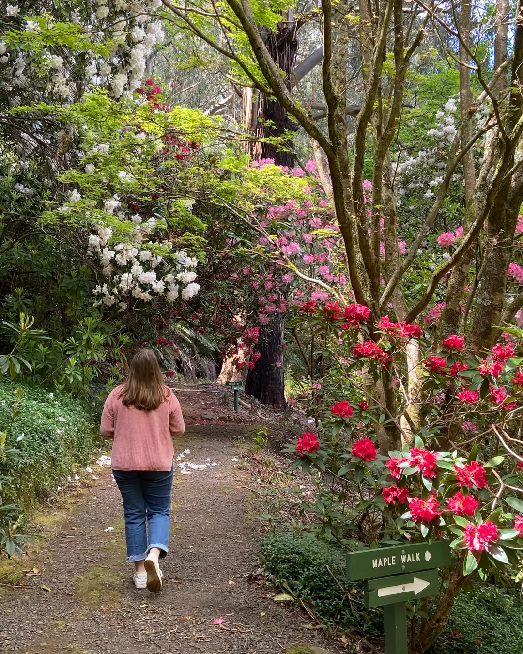 Pirianda Garden