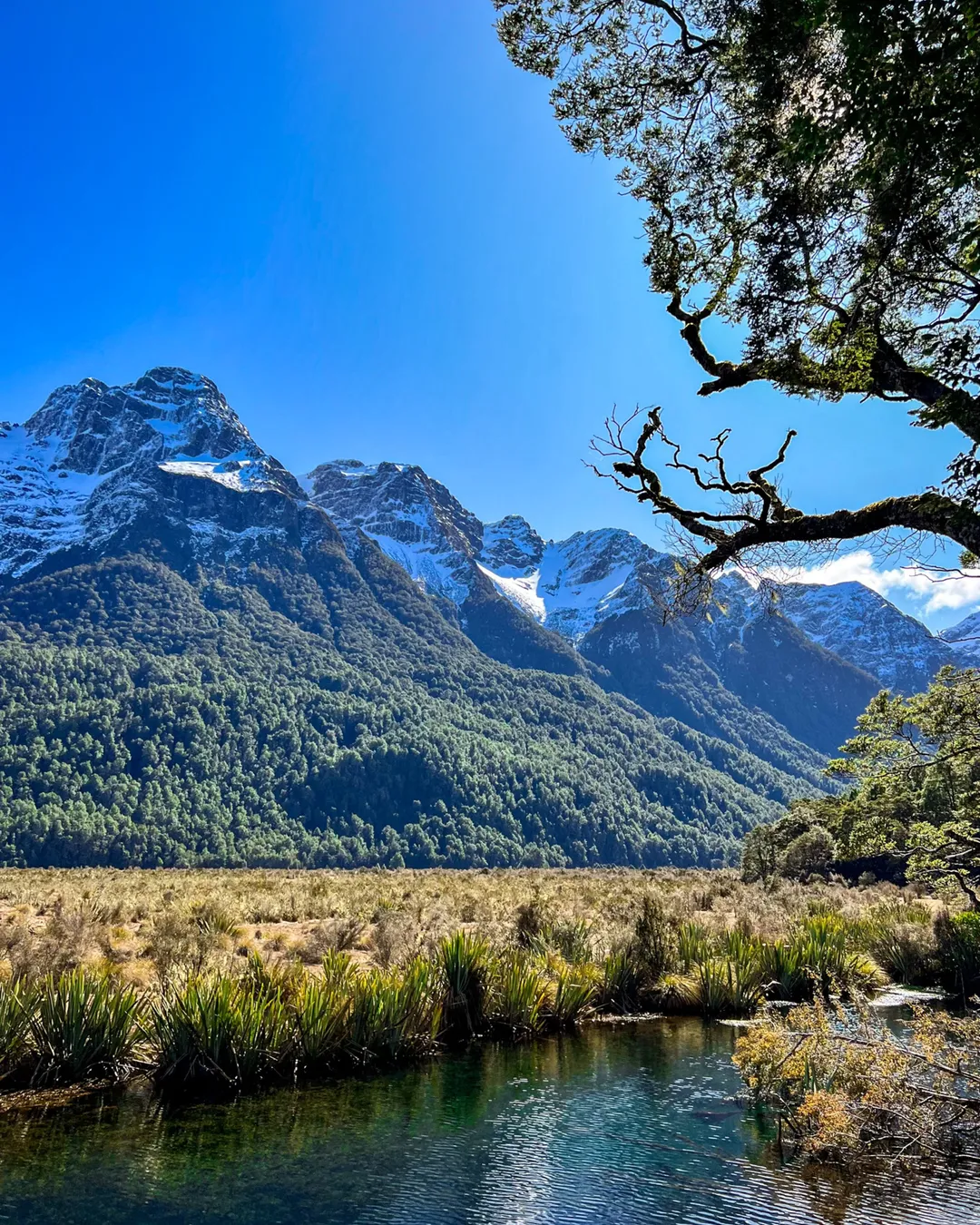 Mirror Lakes
