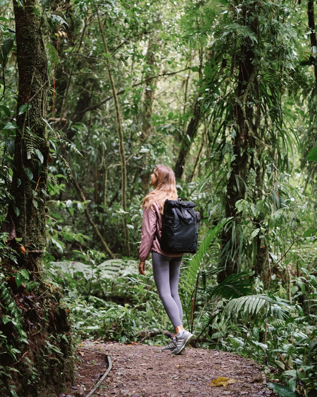 Monteverde Cloud Forest Biological Preserve