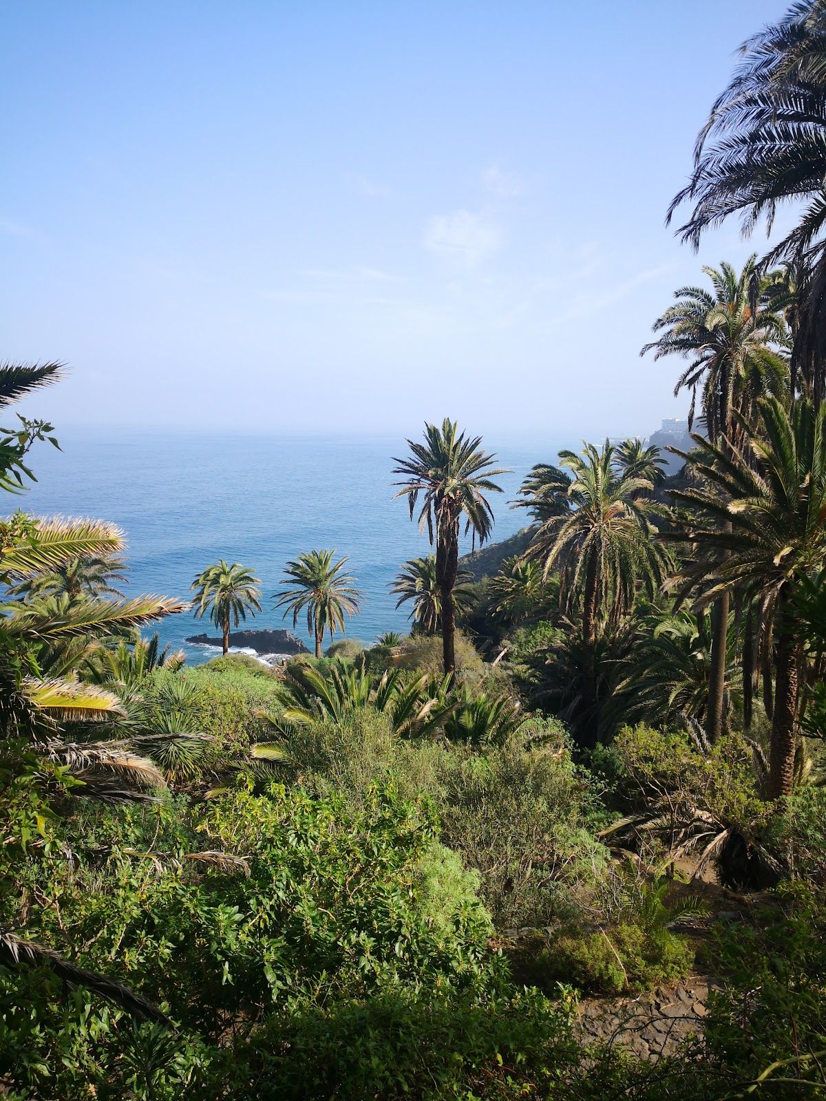 Paisaje Protegido de la Rambla de Castro