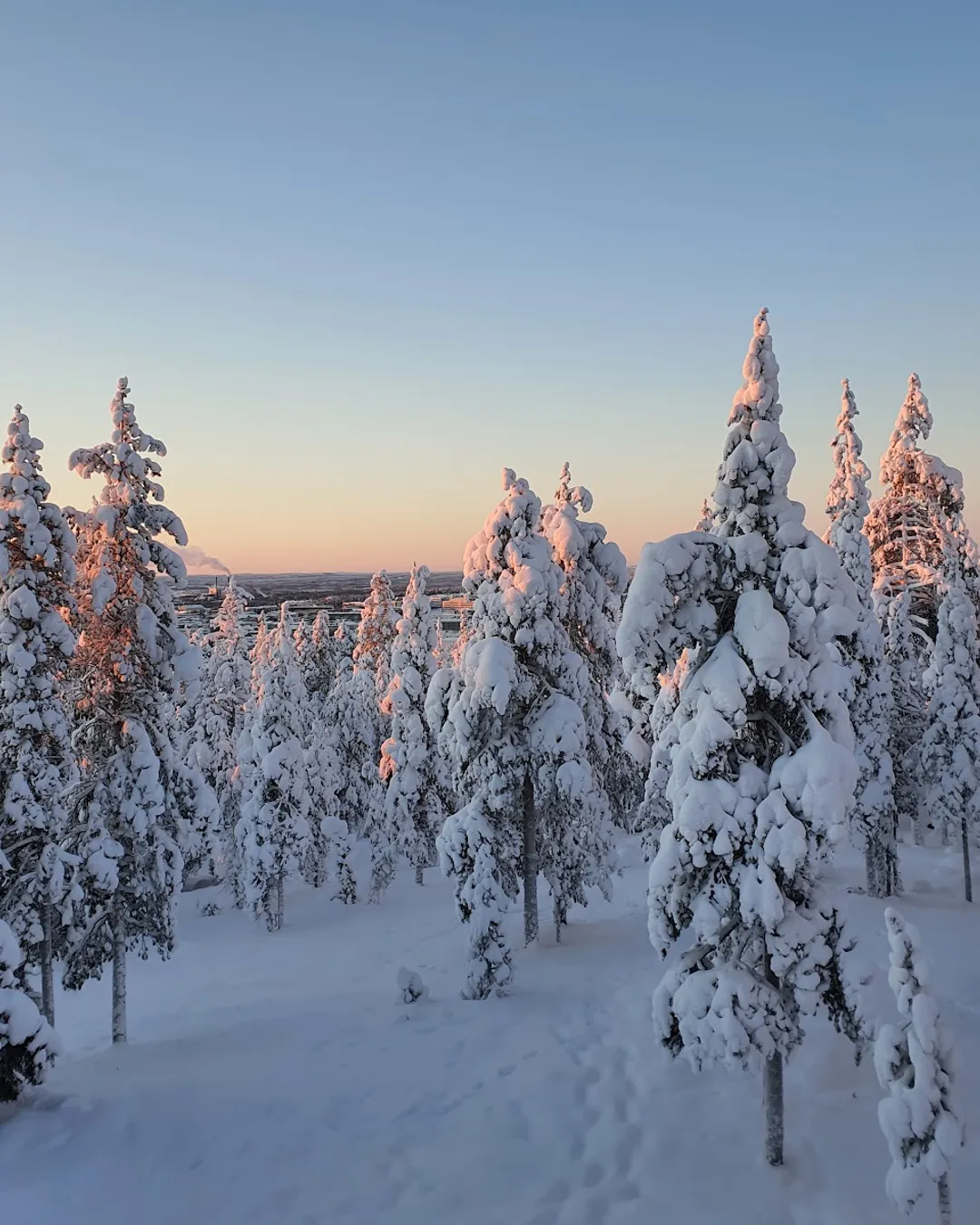 Ounasvaara Winter Trail