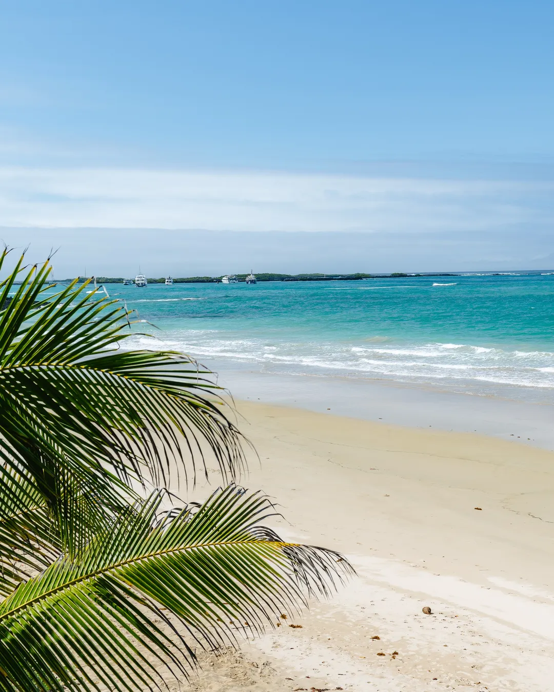 Puerto Villamil Beach