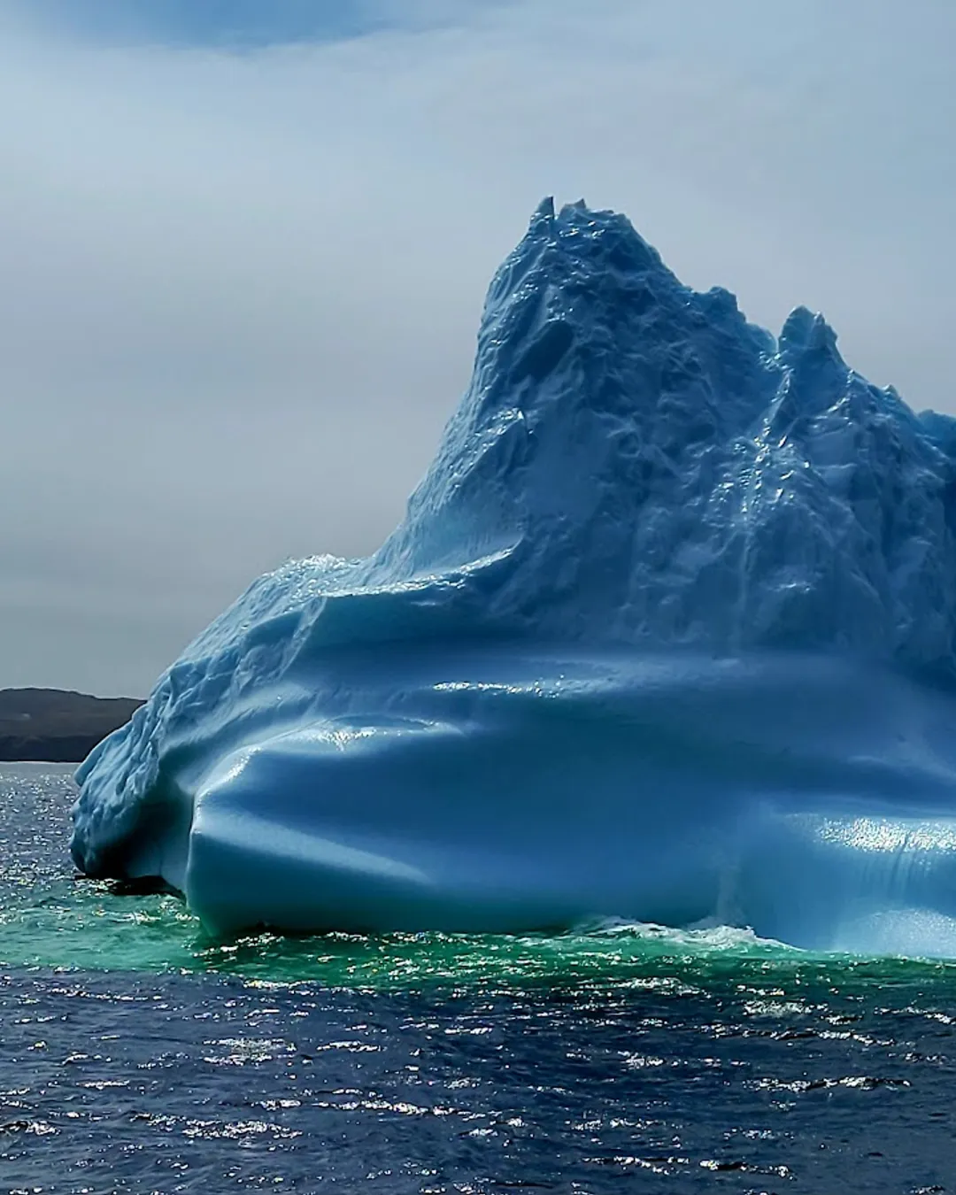 Iceberg Quest Ocean Tours