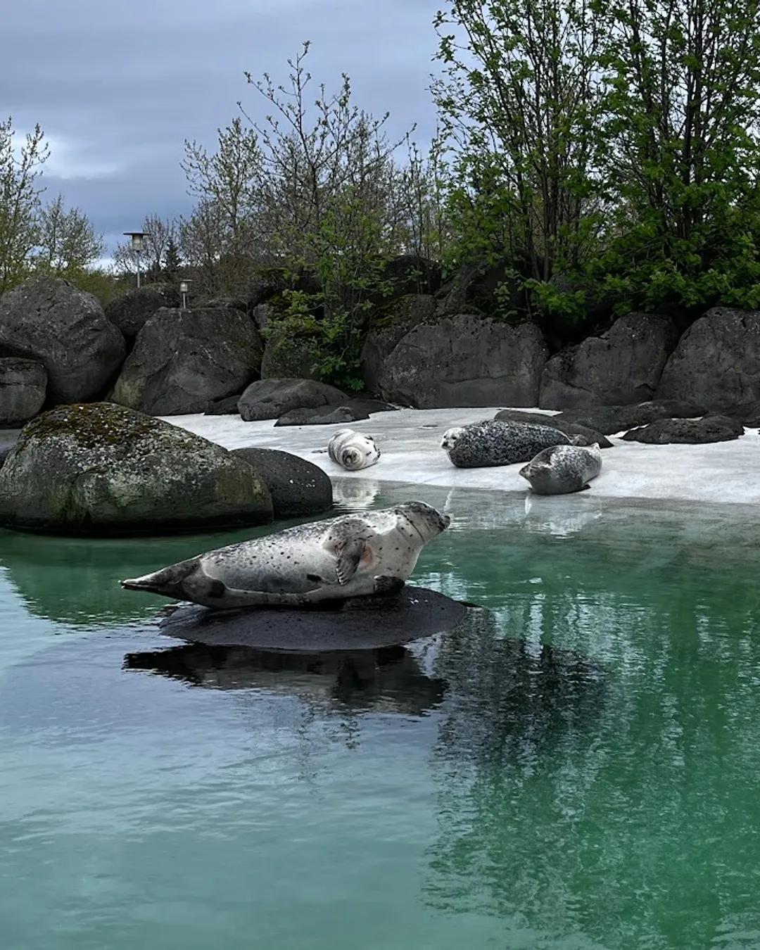 Reykjavík Park and Zoo