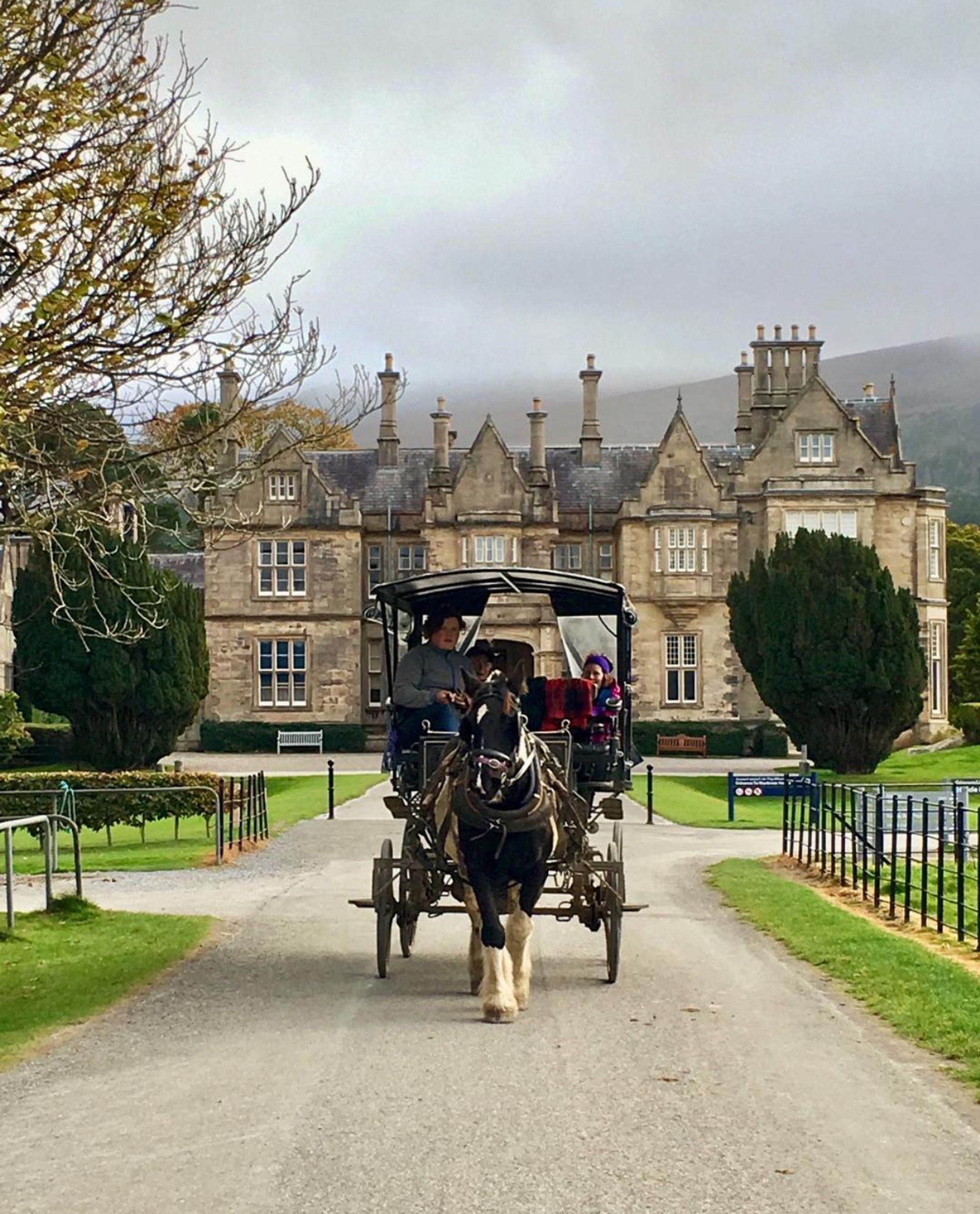 Muckross House and gardens 