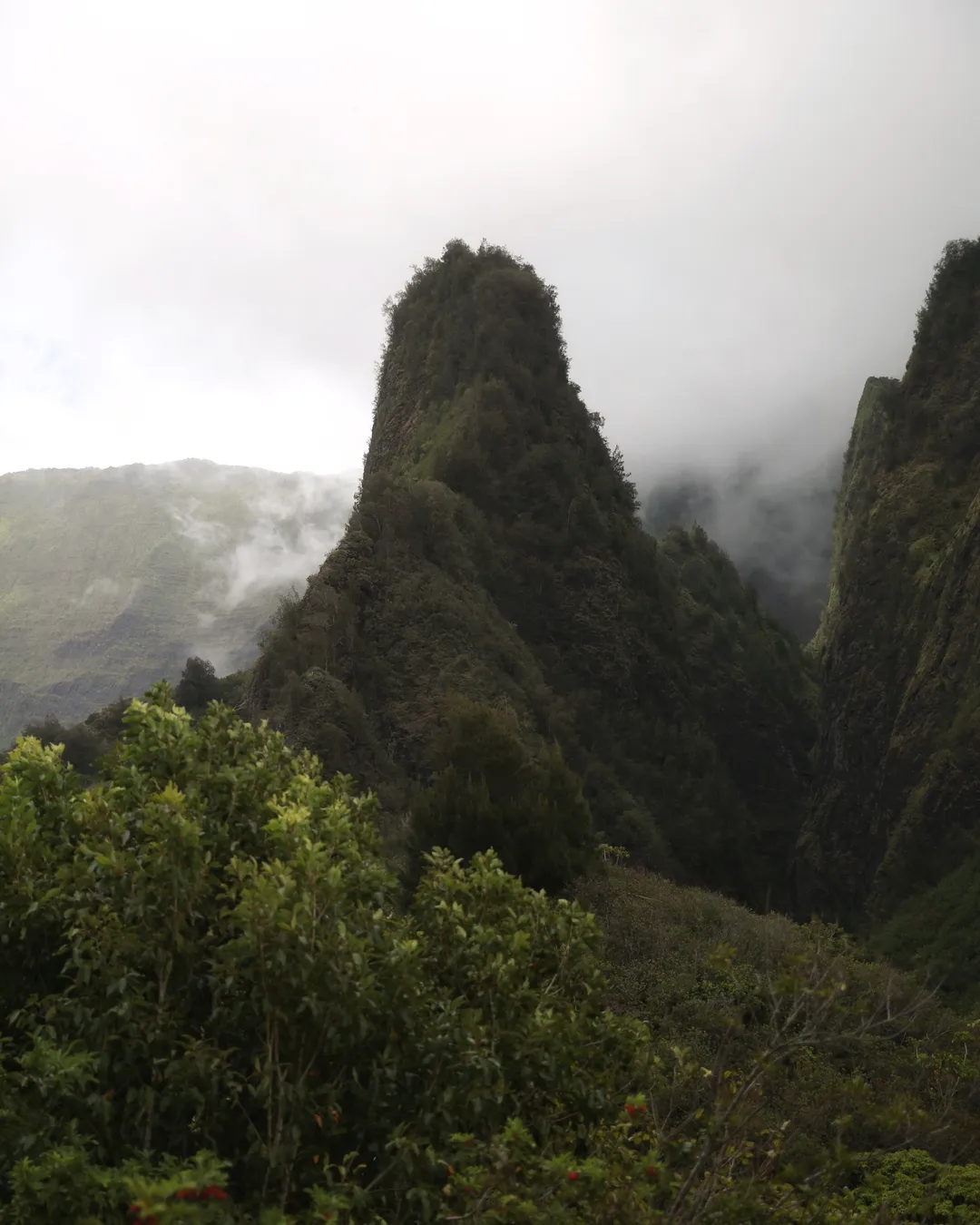 ʻĪao Valley State Monument