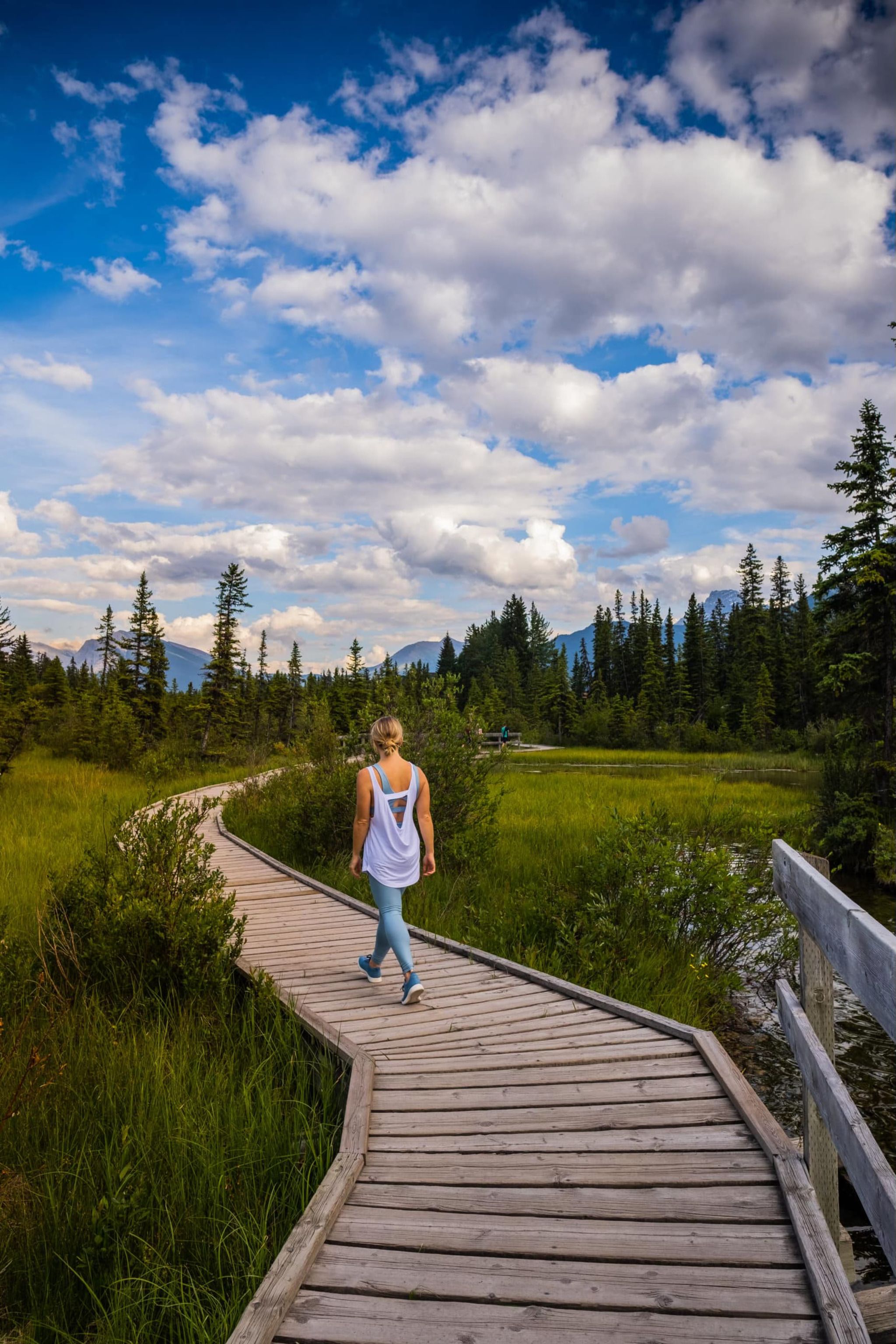 Policeman's Creek Boardwalk