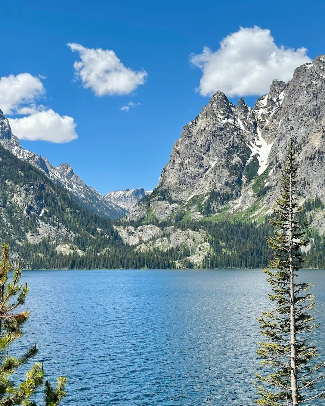 Jenny Lake Overlook
