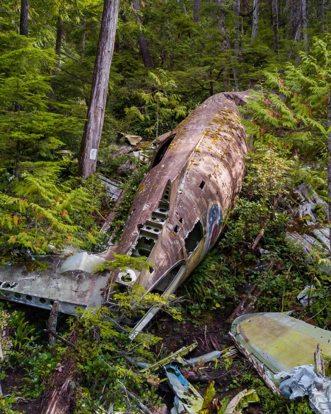 Dakota 576 Crash Site Trail - Vancouver Island, Canada - Rexby