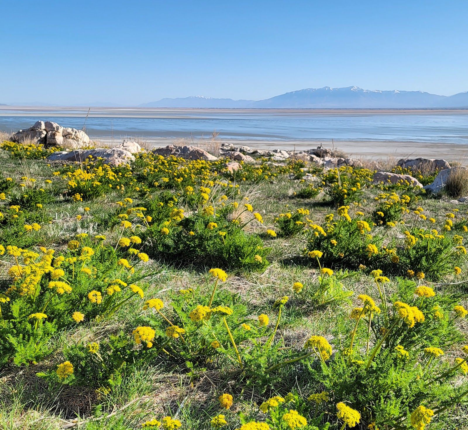 Antelope Island