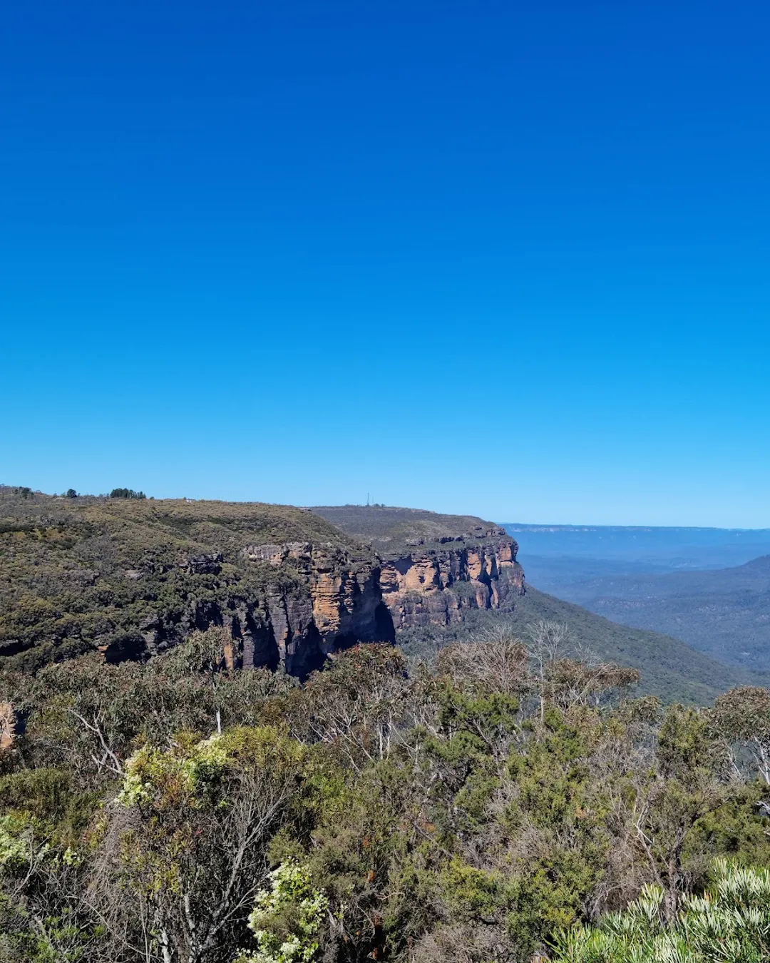 Jamison Lookout