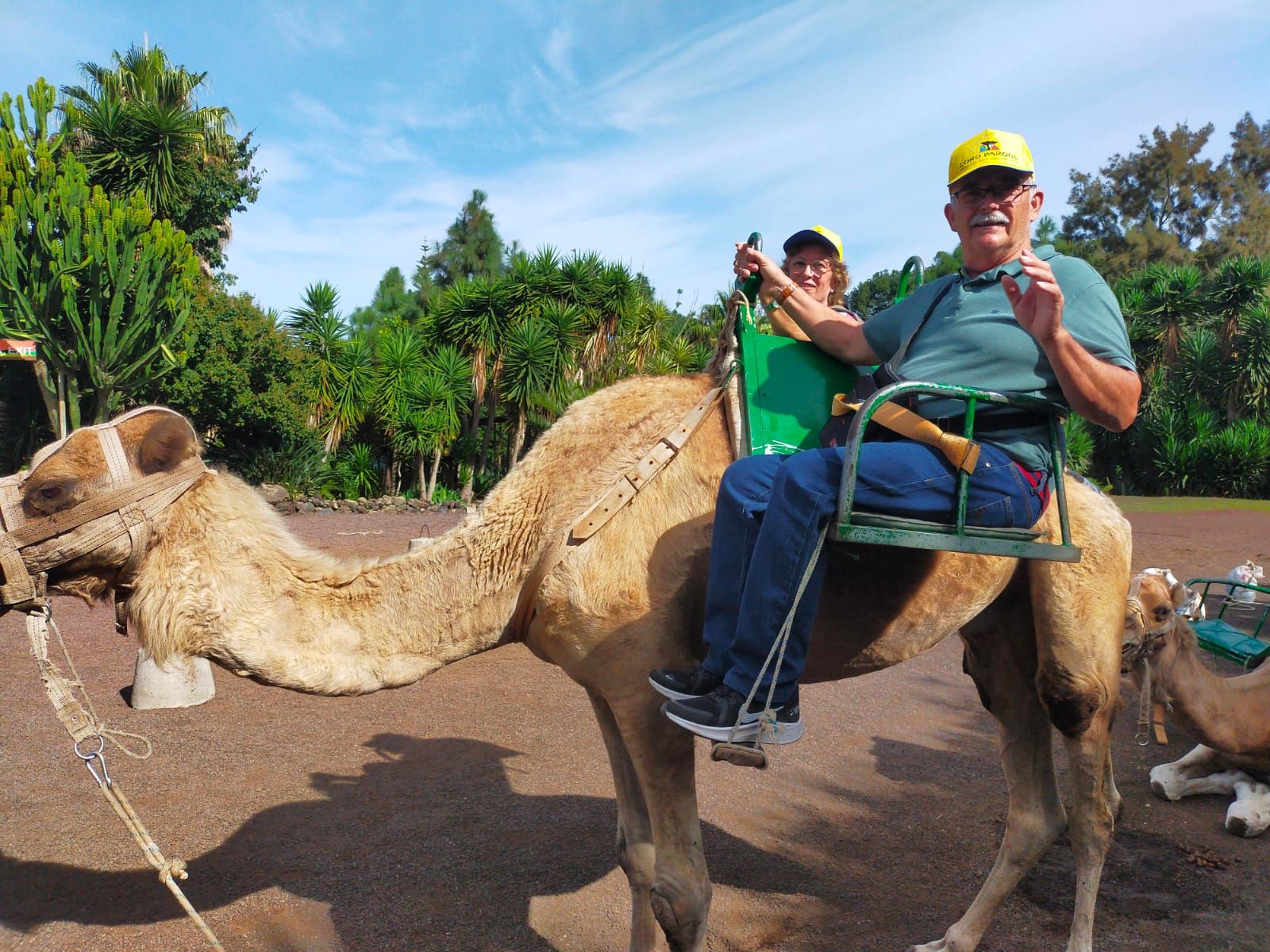 Camello Center with a Restaurant