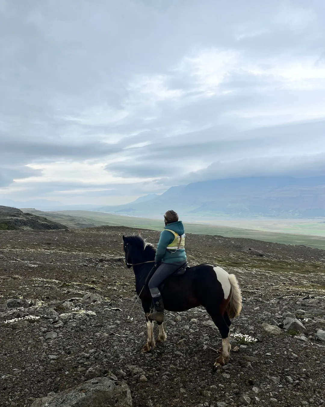 Lýtingsstaðir Horse Farm