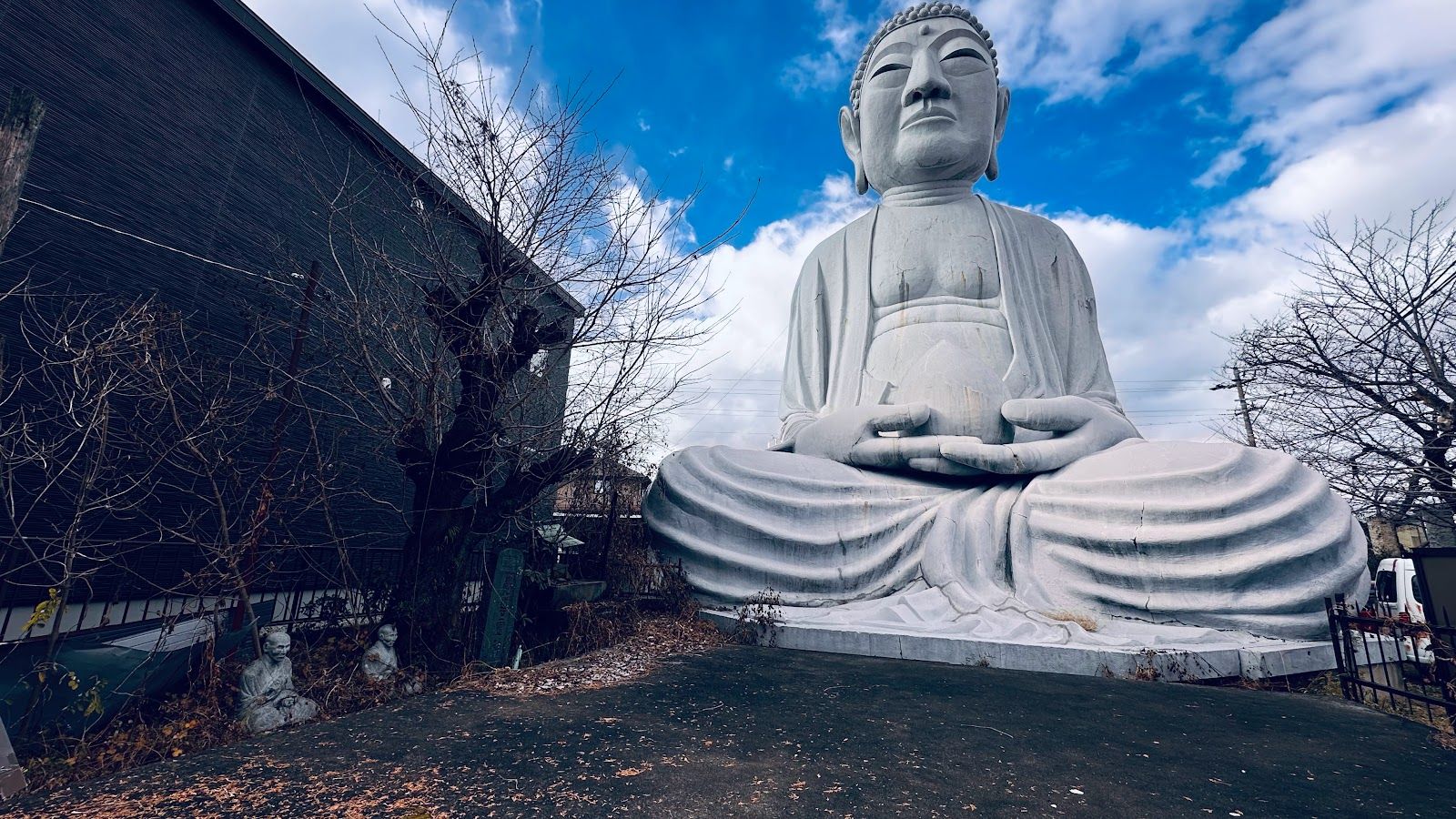 SESSION BUDDHA 黒色レコード