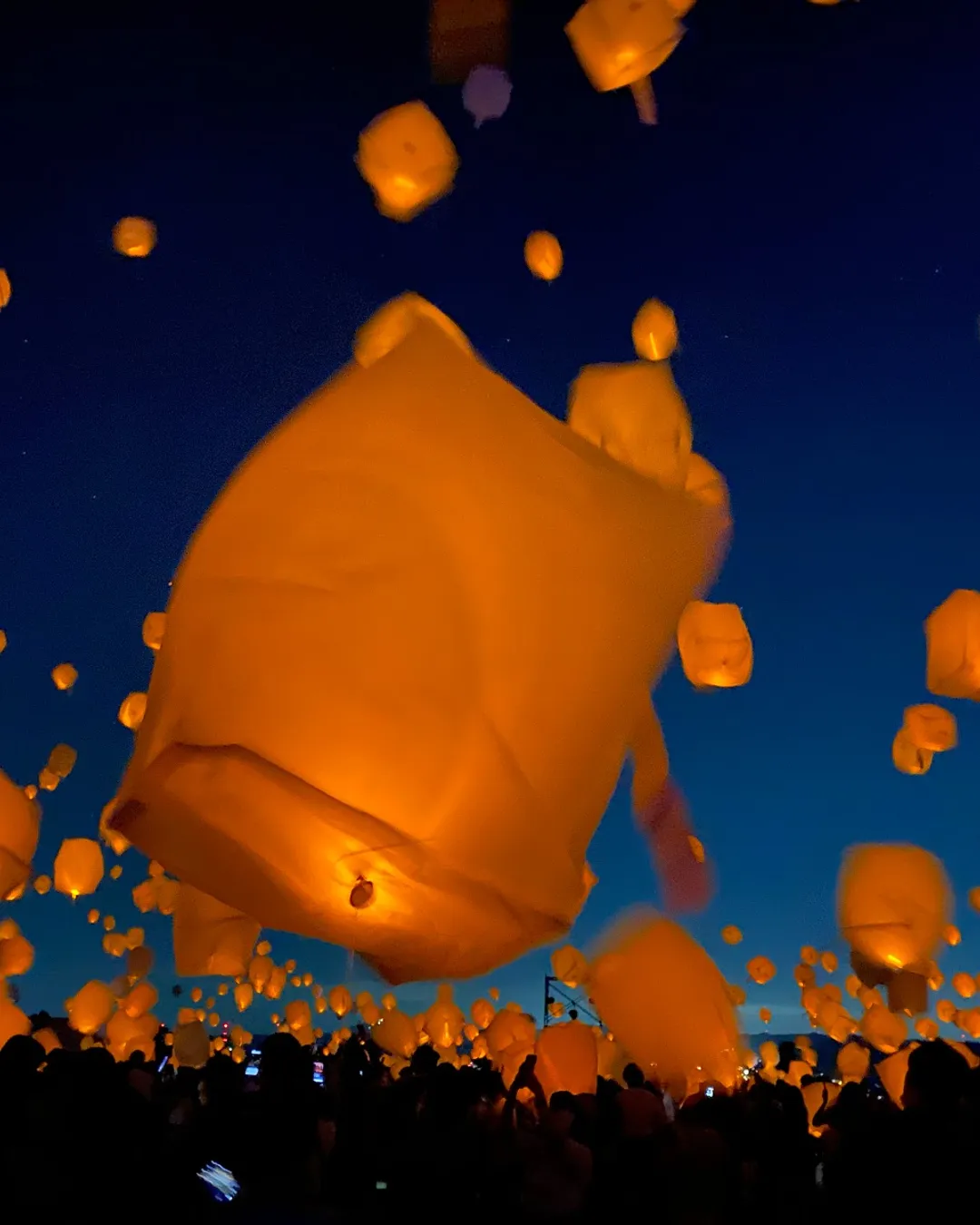 The Illuminated Park　閃光の庭　なかにしけふこ Izu Granpal Park Special Area Illumination: A Night of