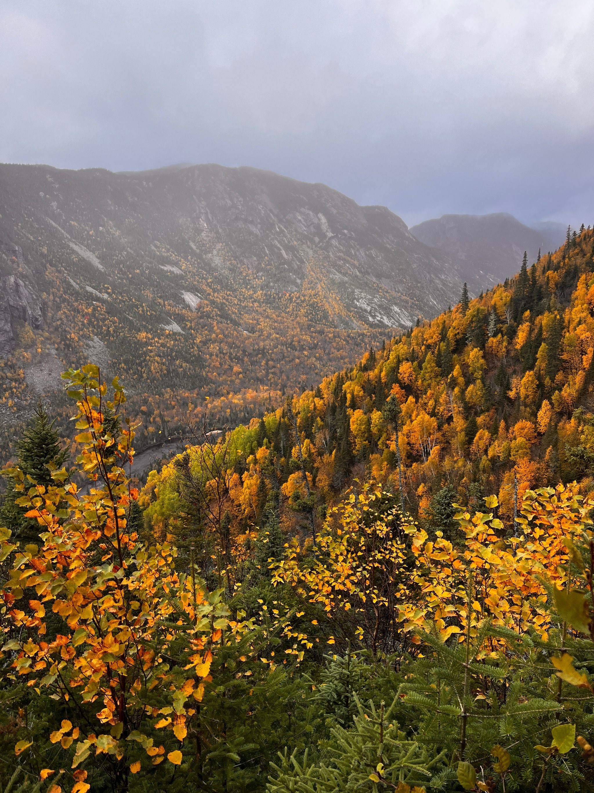 Montagne des Érables