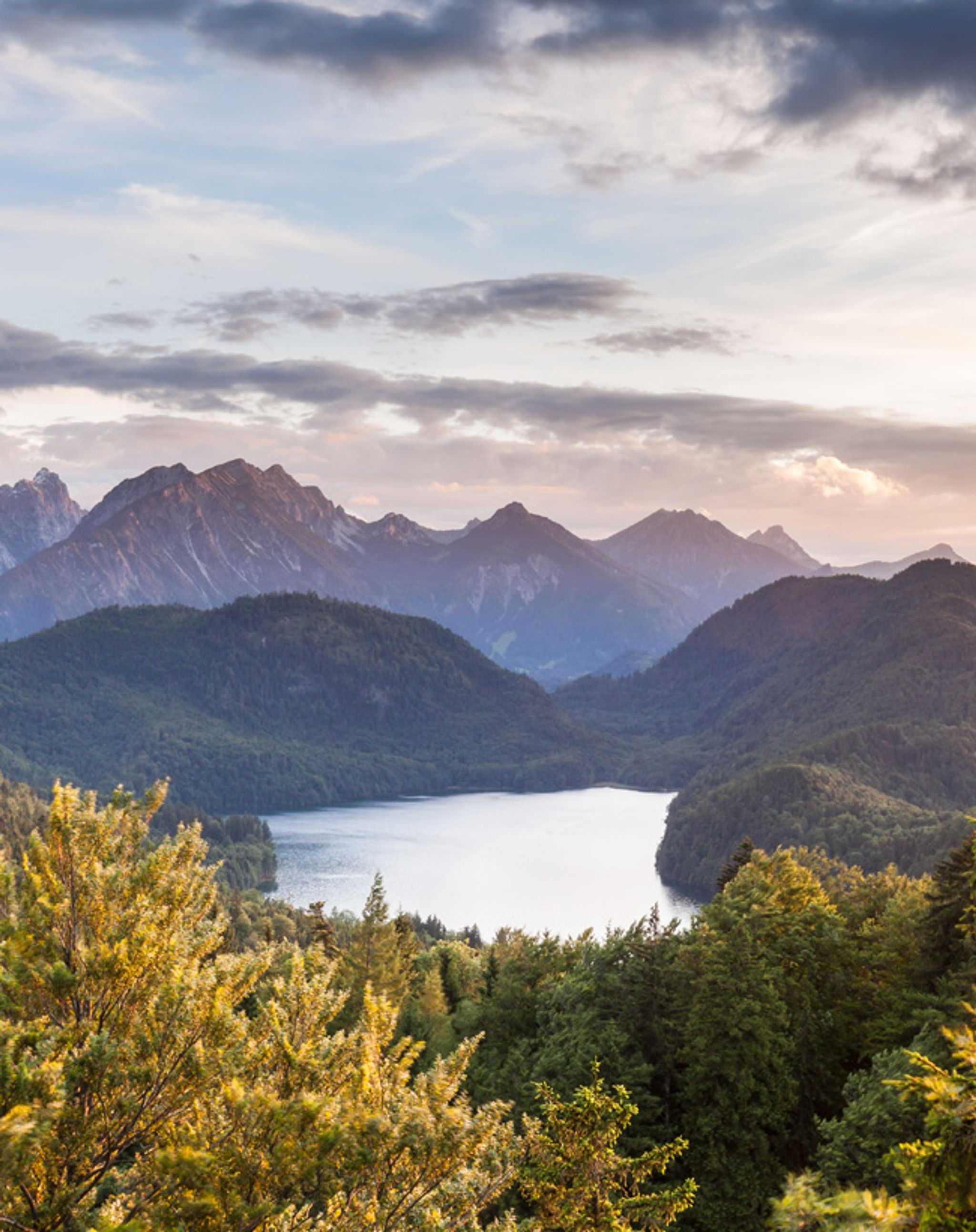 Aussichtspunkt Alpsee

