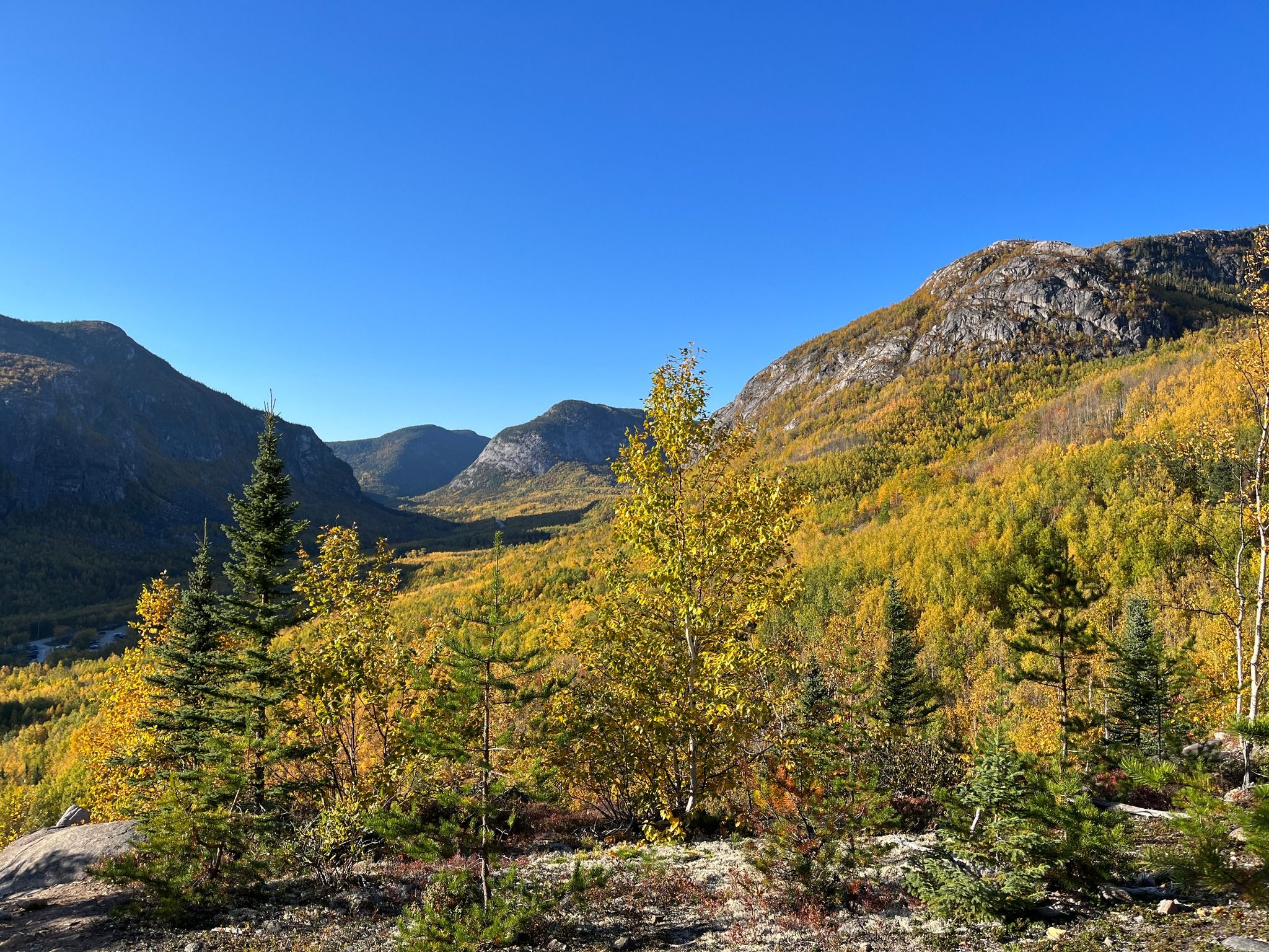 Grands-Jardins National Park