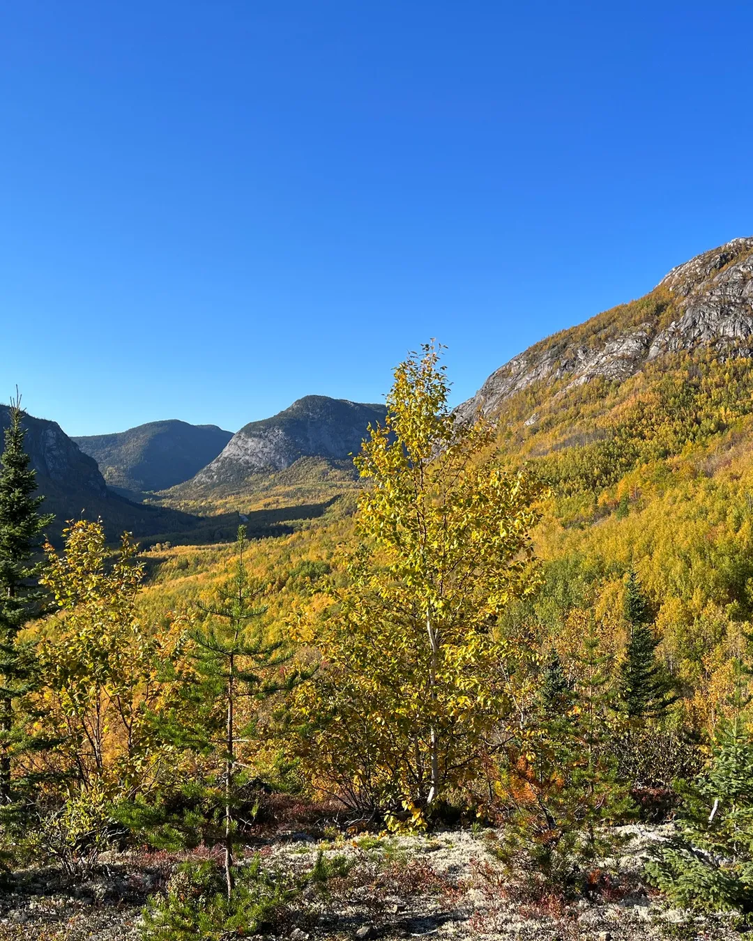 Grands-Jardins National Park