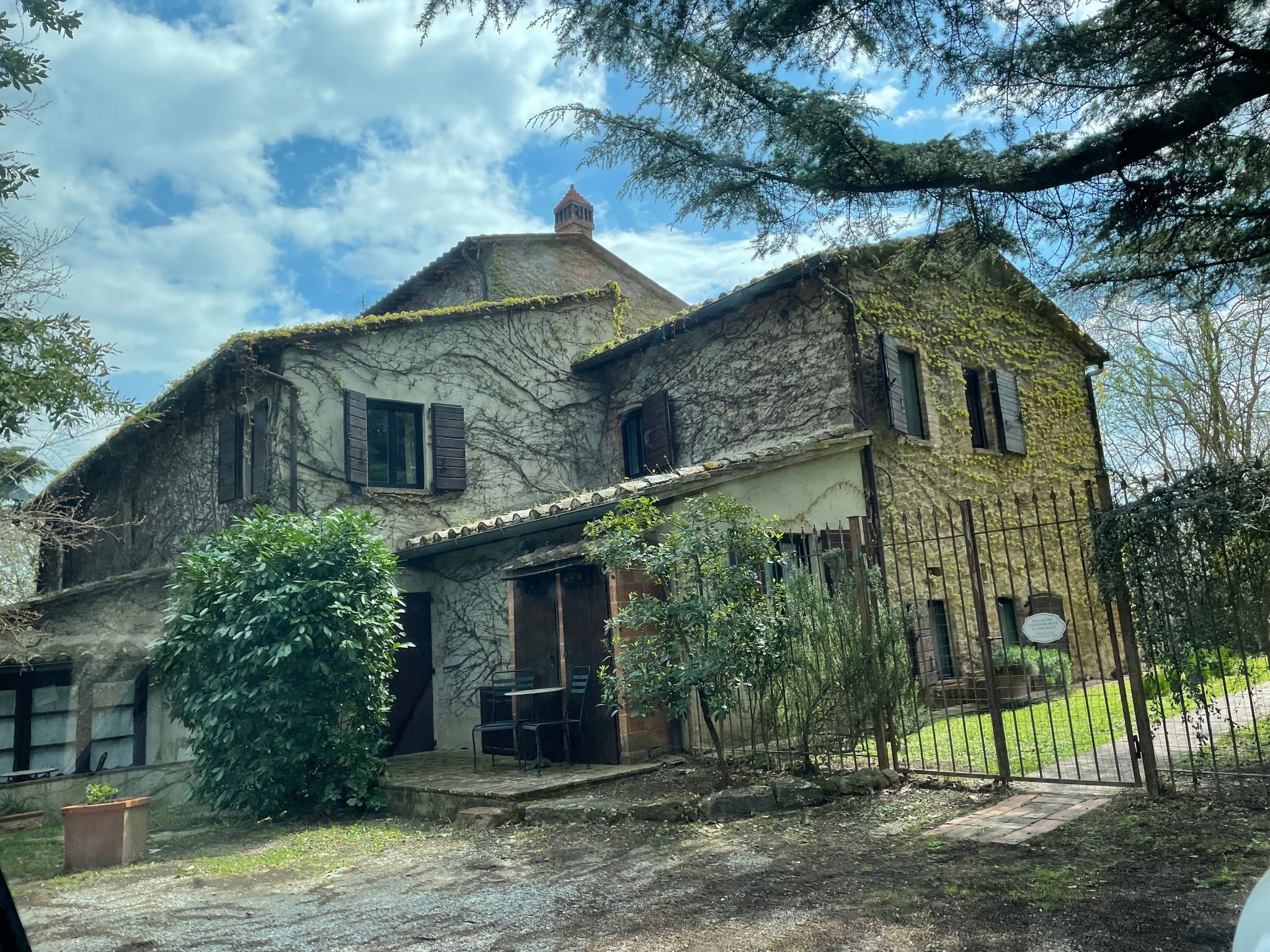 Poggio Etrusco di Sheldon Johns Pamela