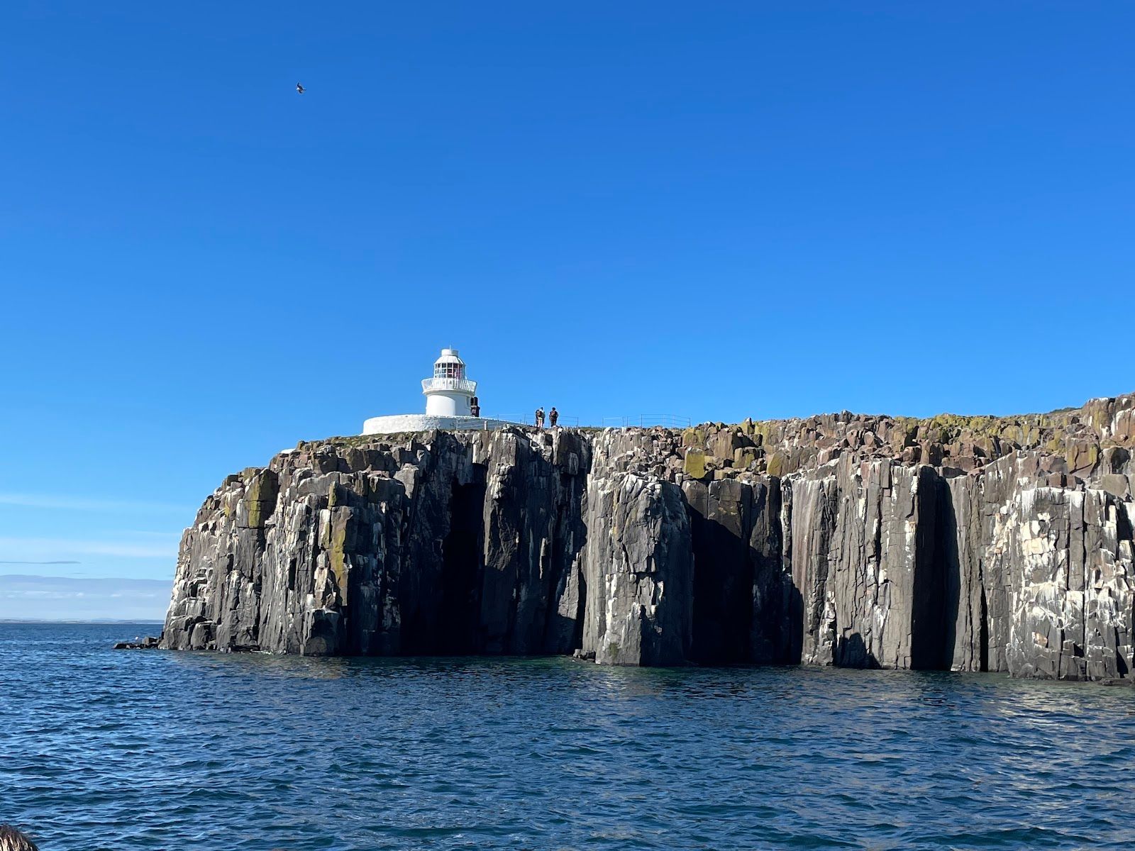 Farne Islands
