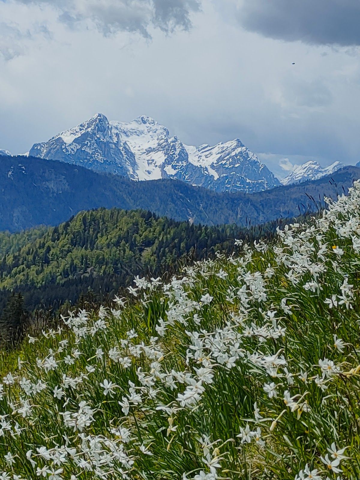 Golica Hike