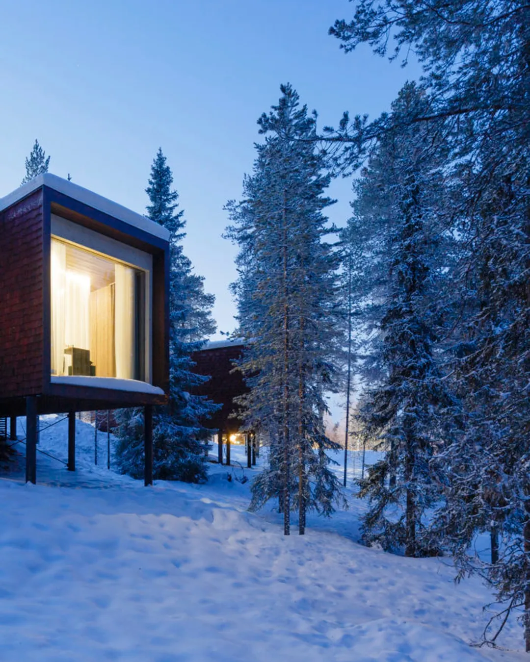 Arctic TreeHouse Hotel