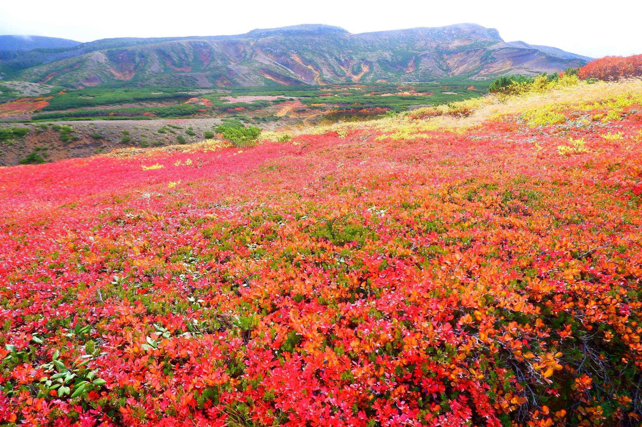 Mt. Kurodake - Nagano, Japan - Rexby