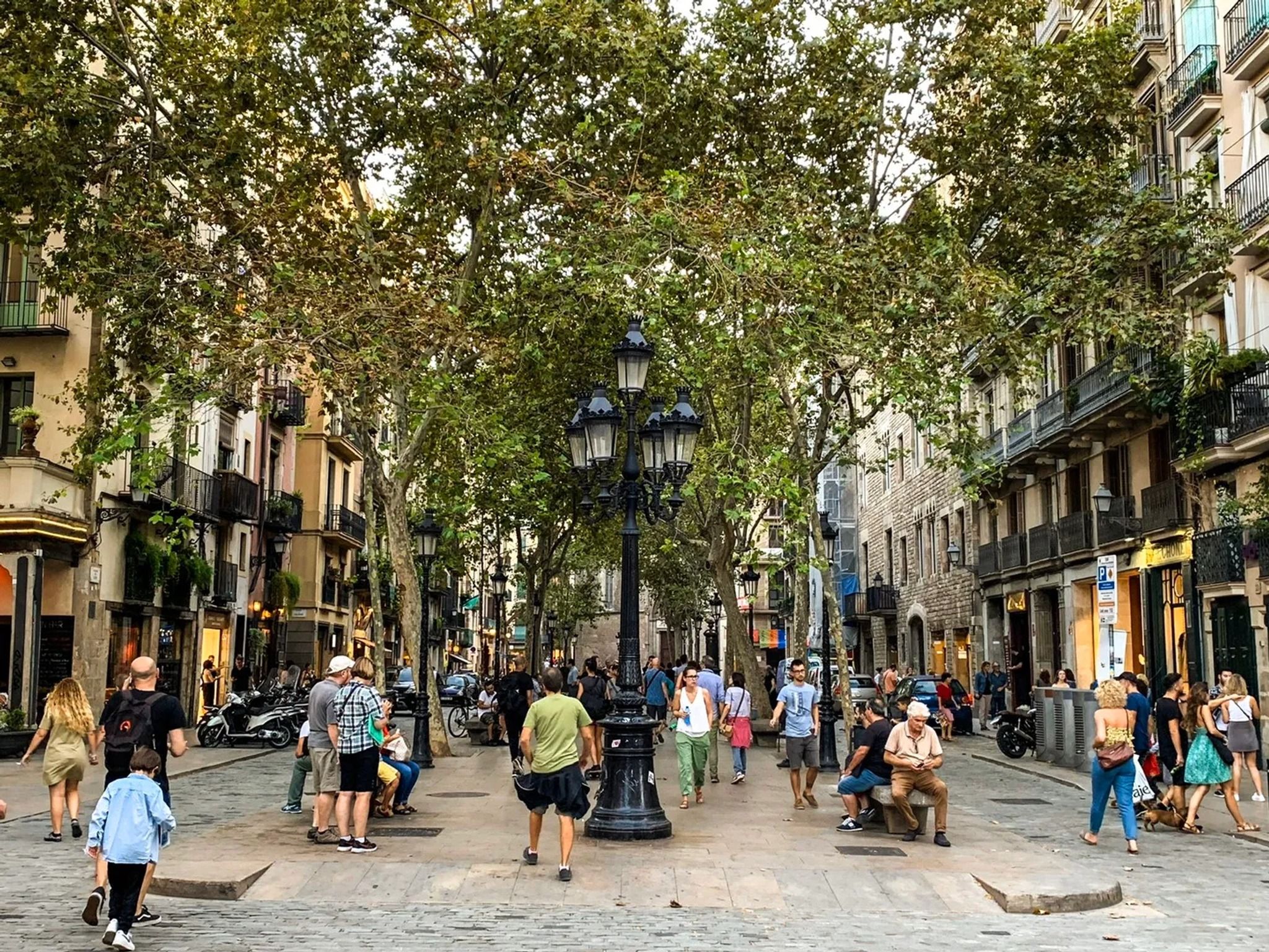 Passeig Del Bron