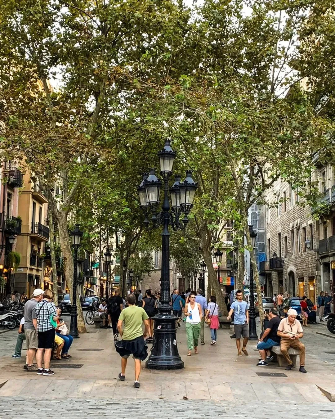 Passeig Del Bron