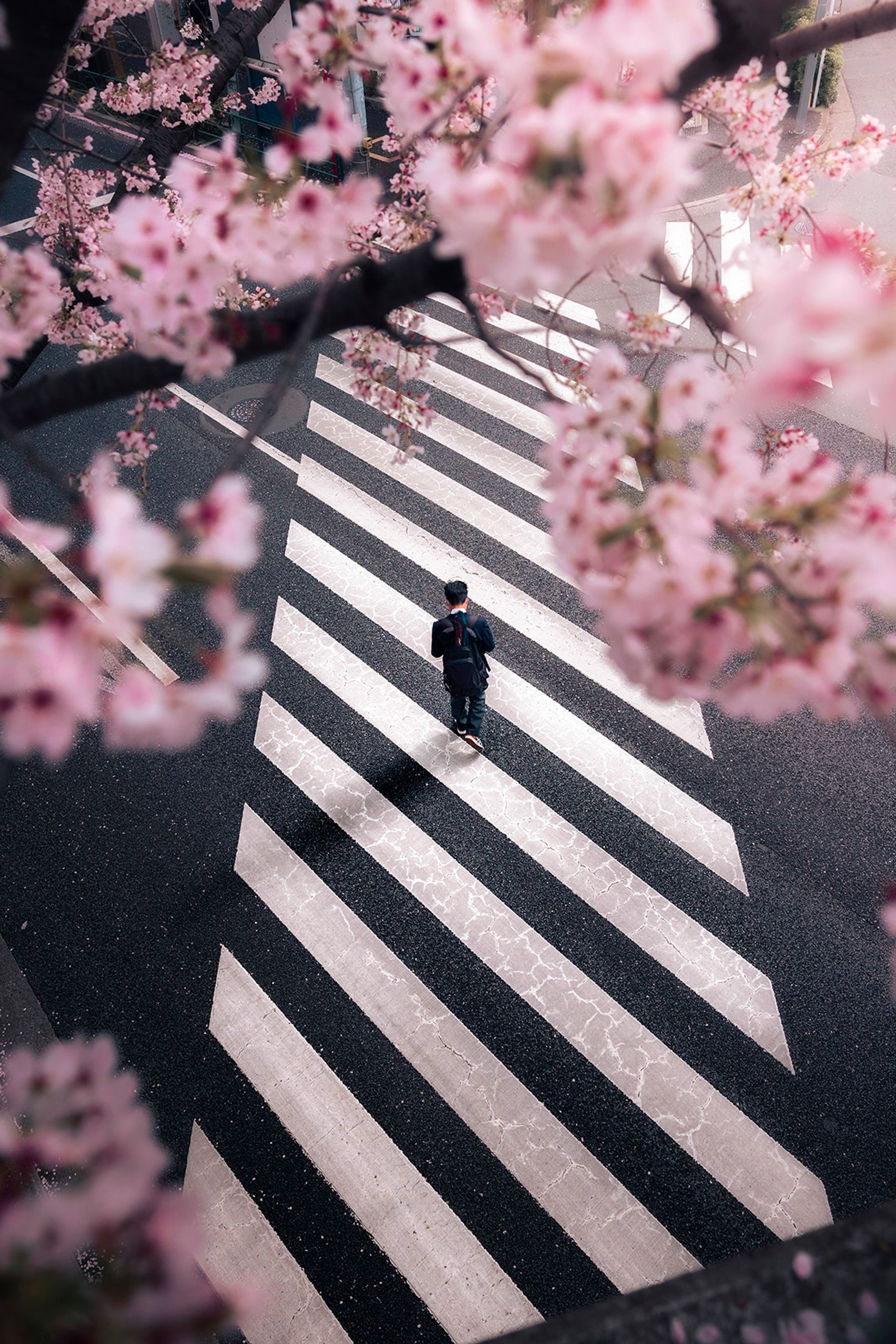 Nakano - Katayamaritsu Bridge