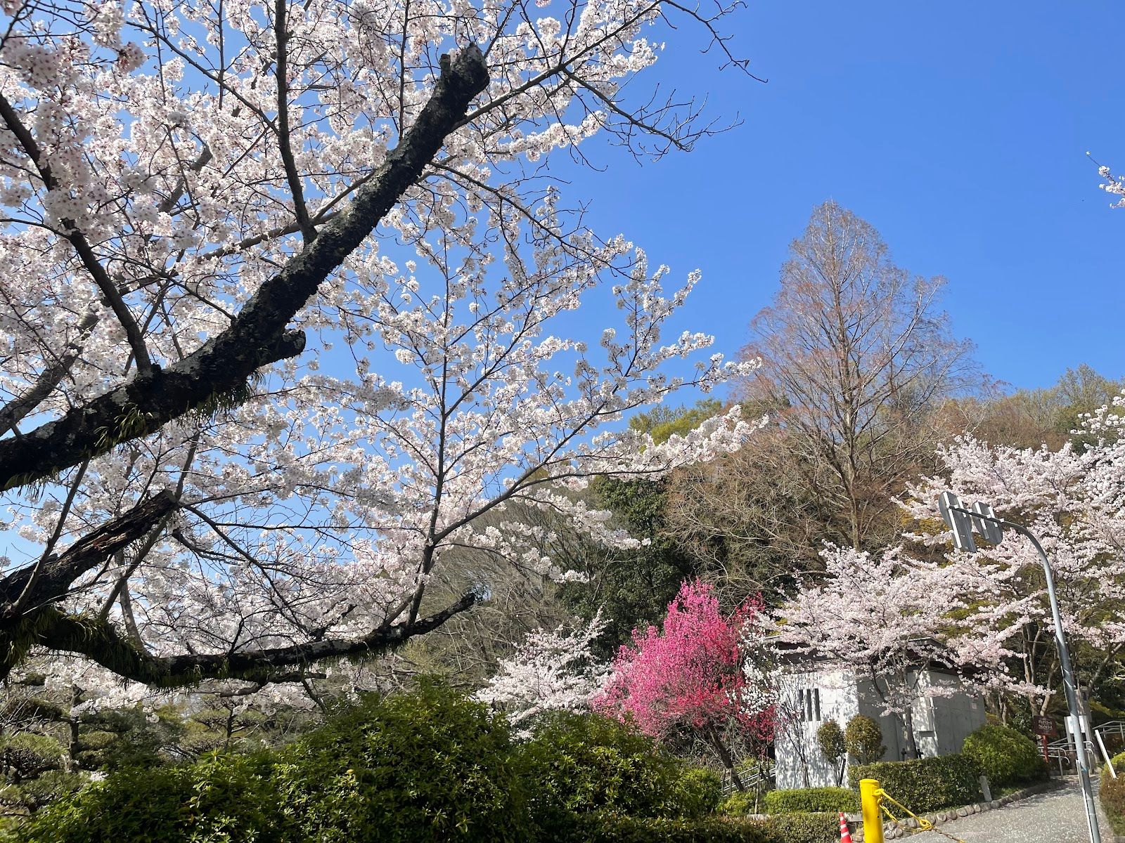 Satsukiyama Park - Japan - Rexby
