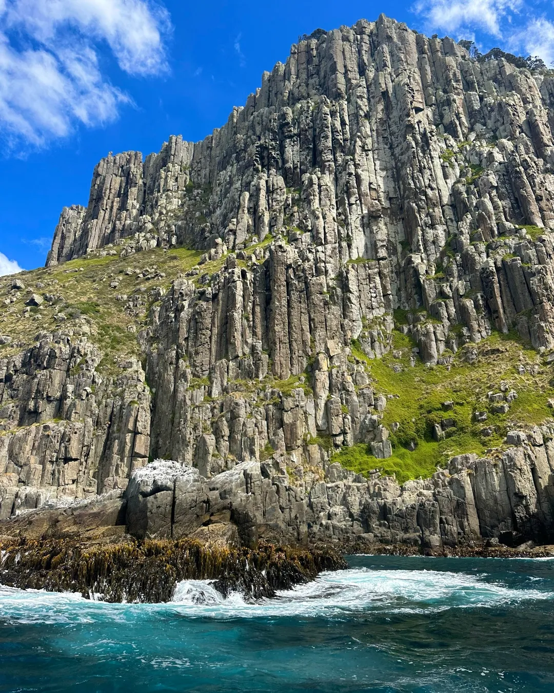 Tasman Island Cruises