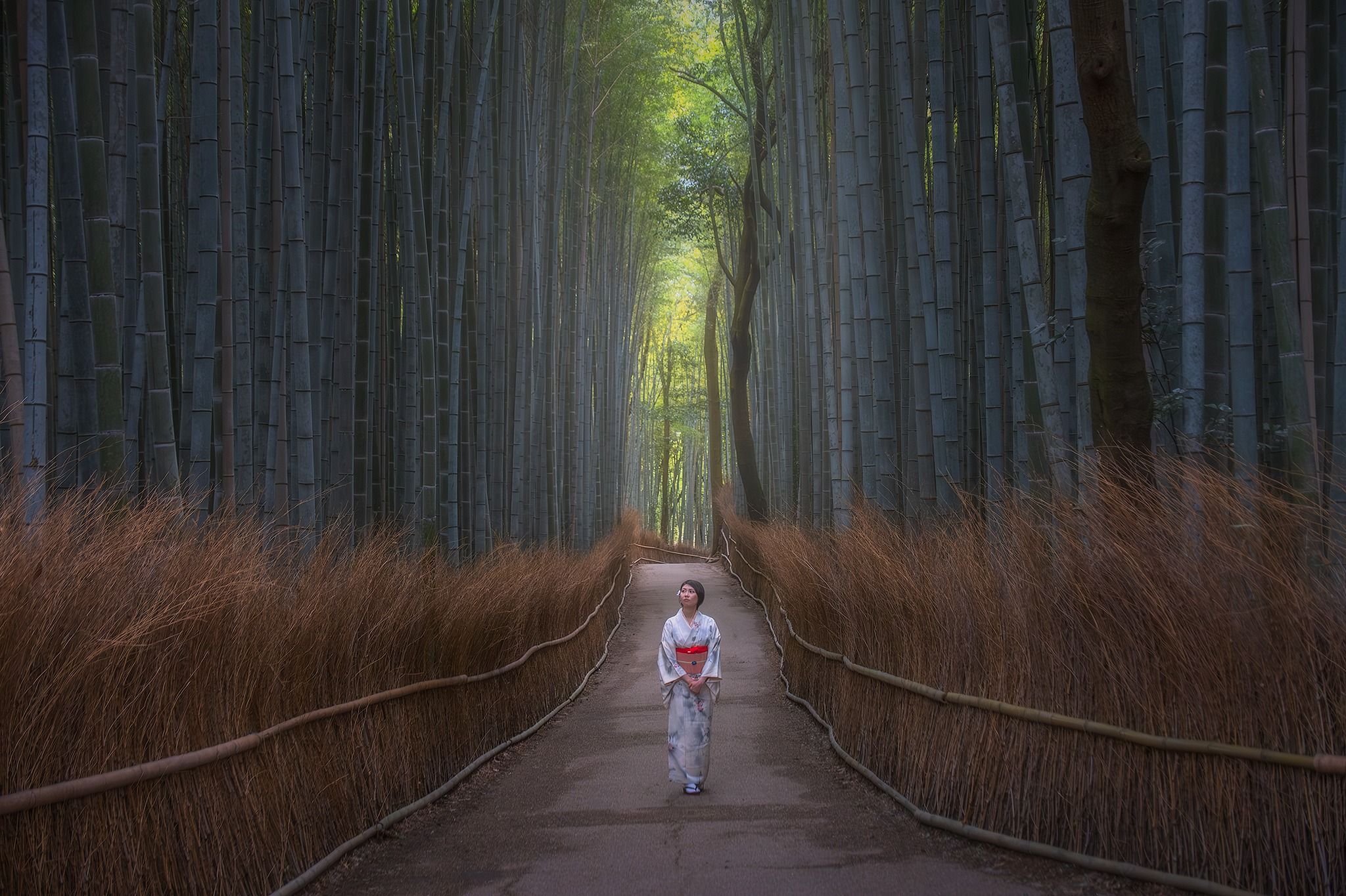 Arashiyama Bamboo Forest