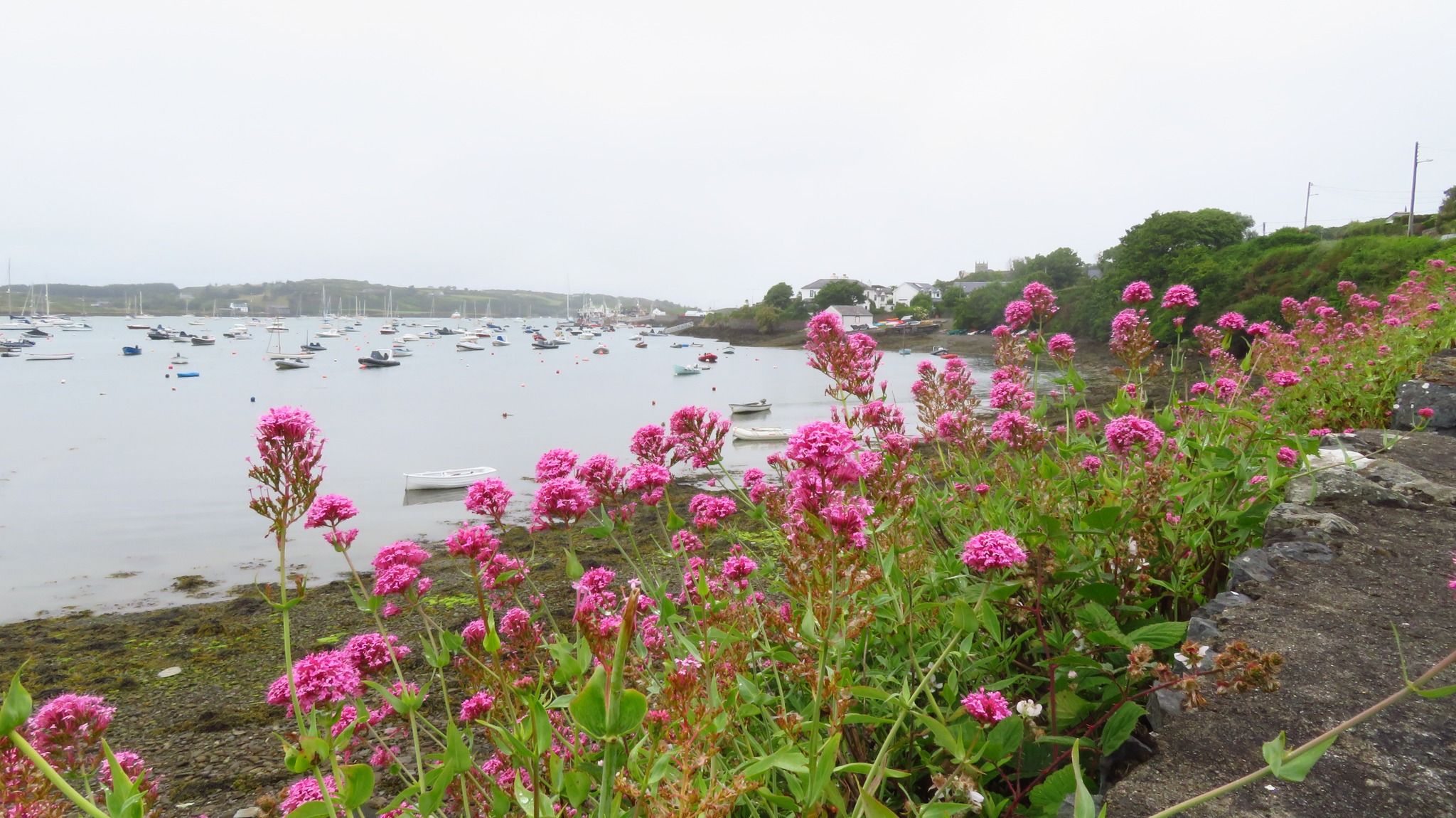 Baltimore Cove - Piratenangriff