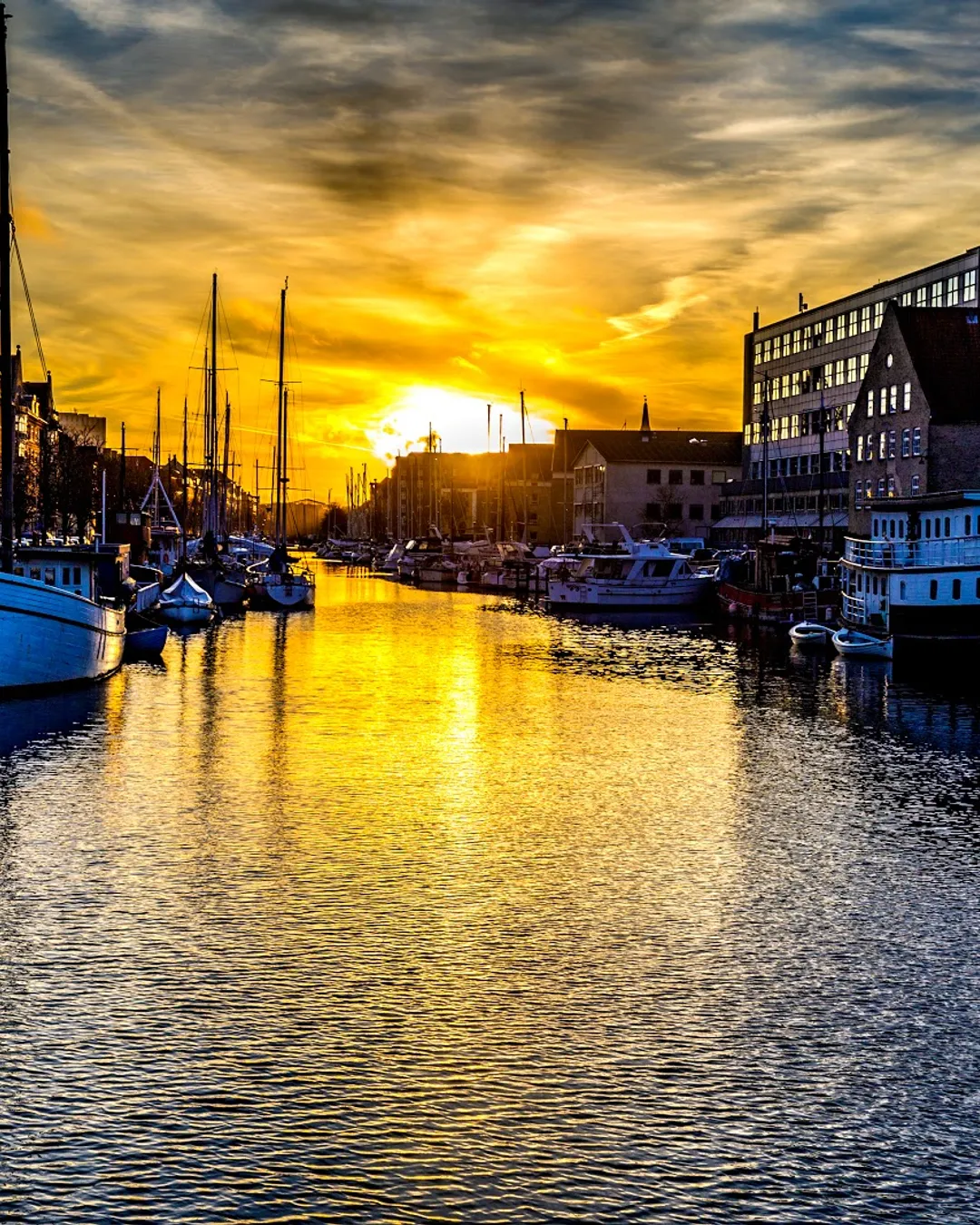Havnebussen