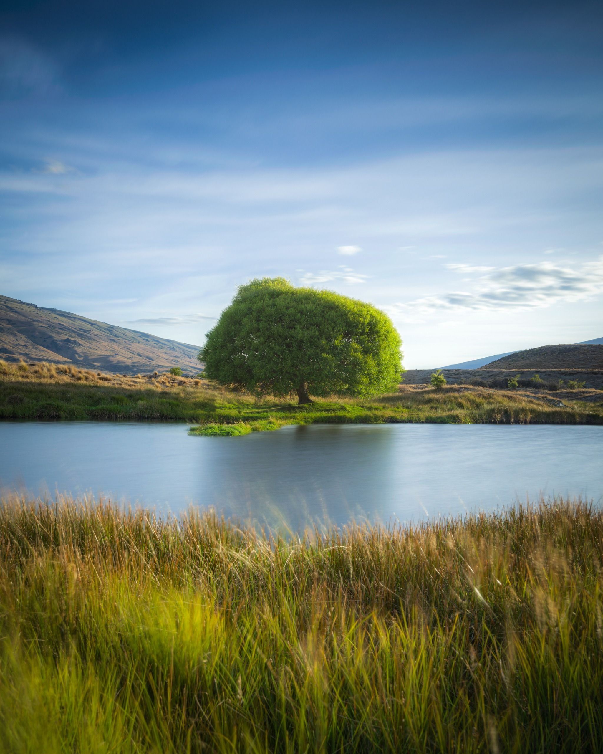 The Nevis Tree, Queenstown