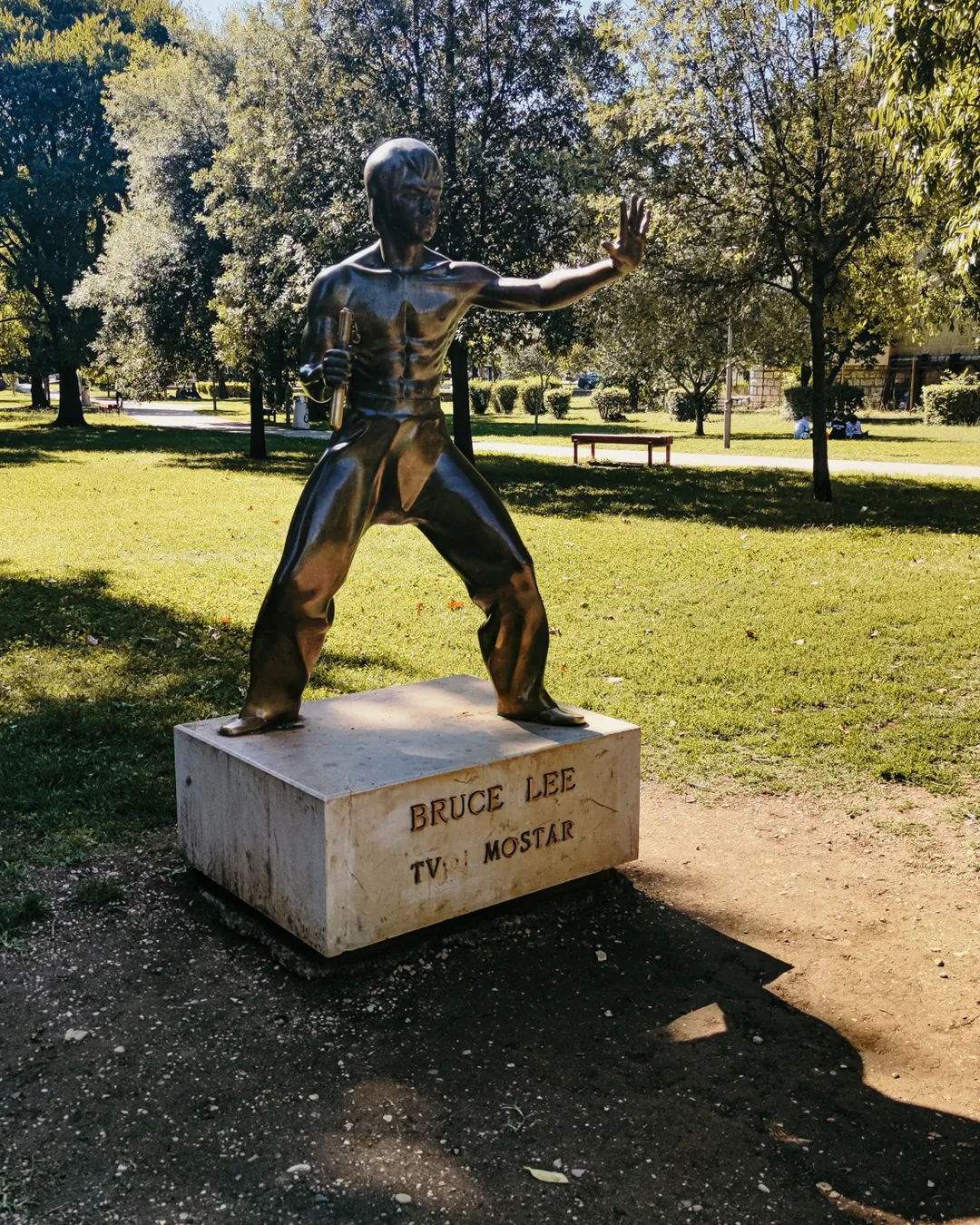 Bruce Lee Bronze Monument