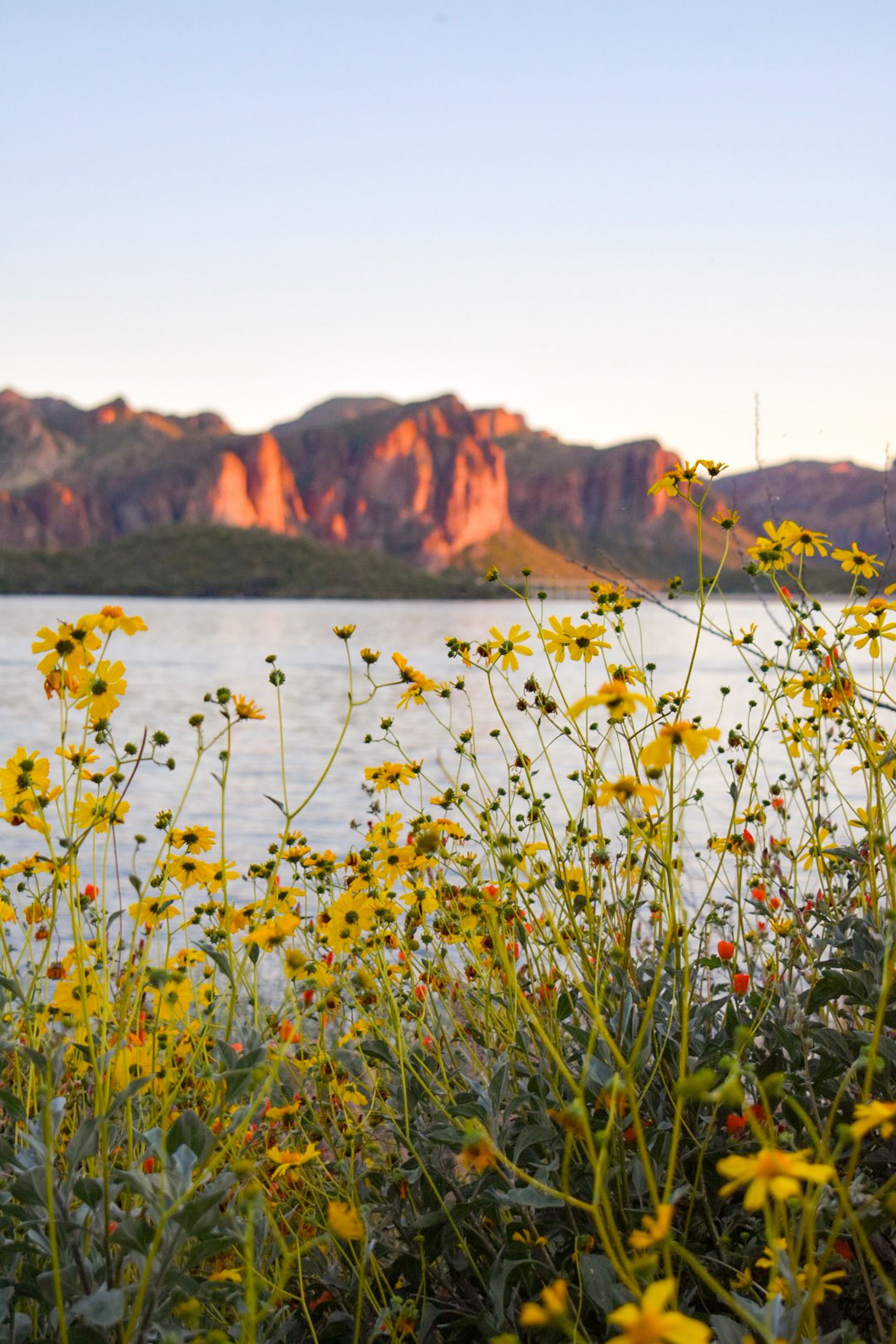 Saguaro Lake