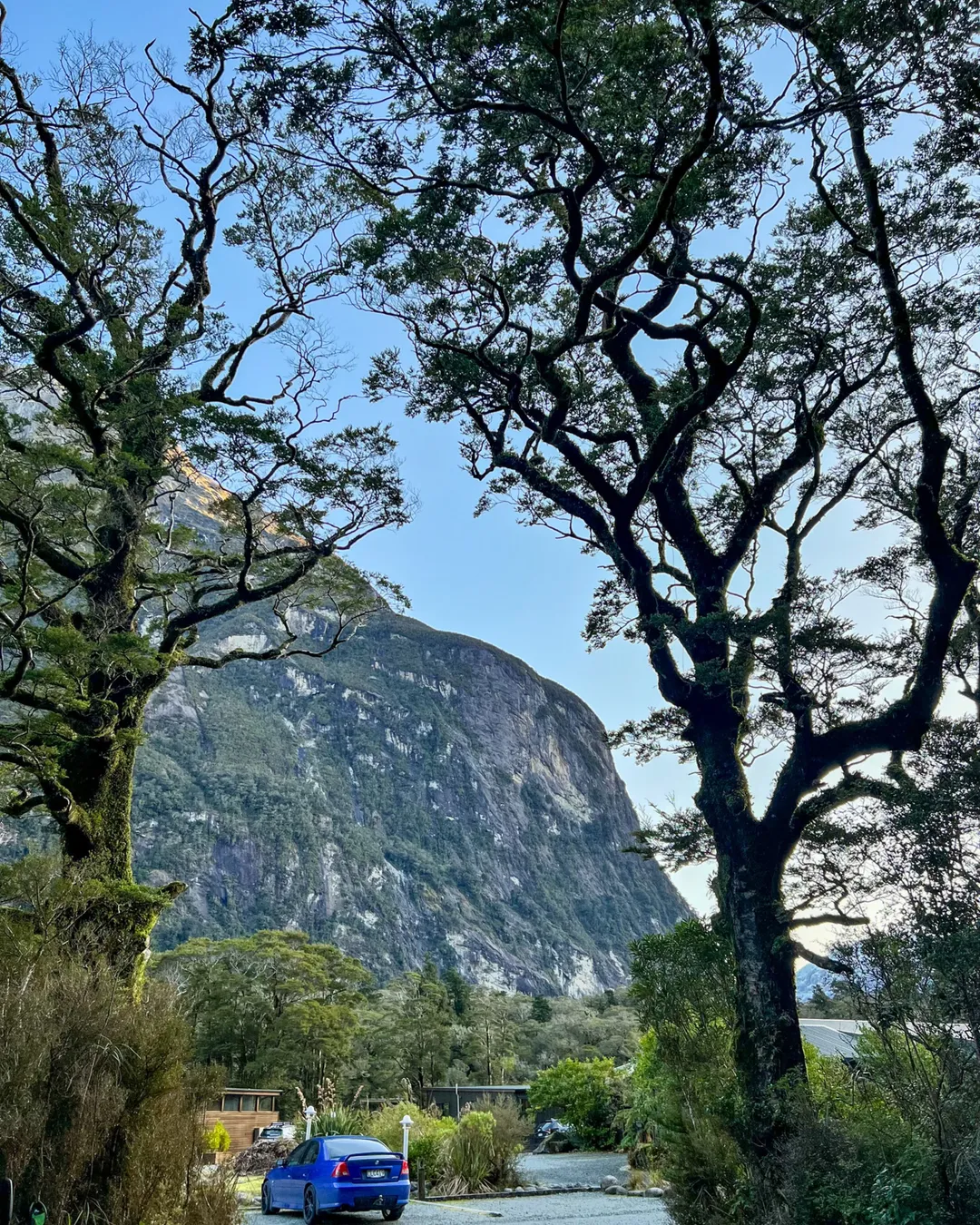 Milford Sound Lodge