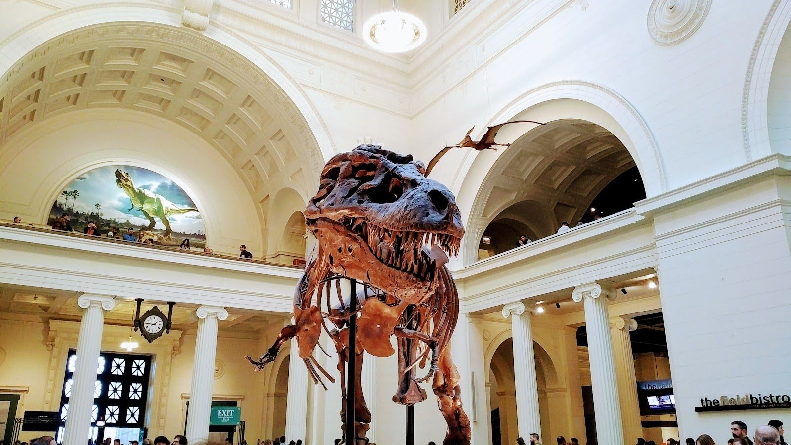 Field Museum
