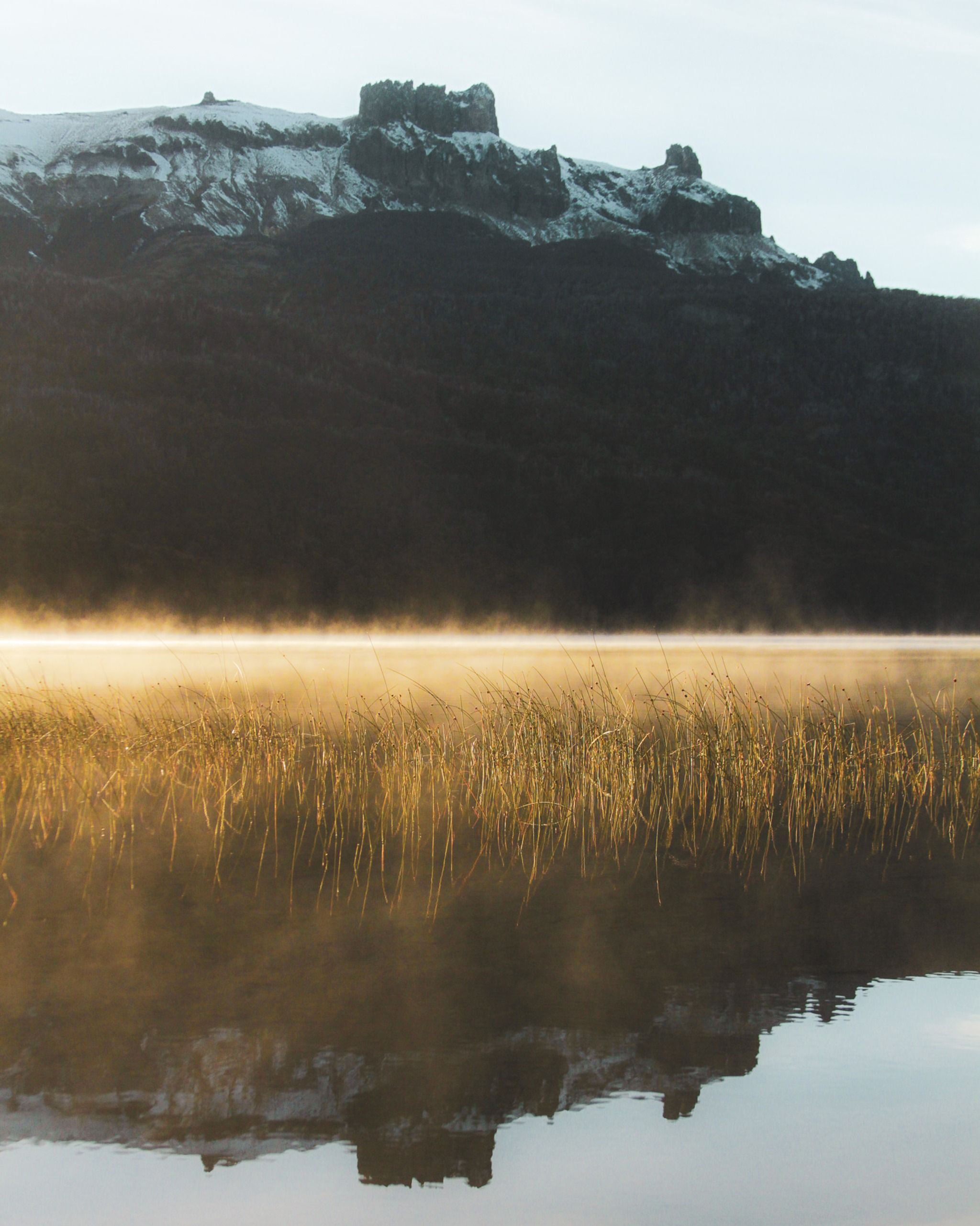 Lago Falkner